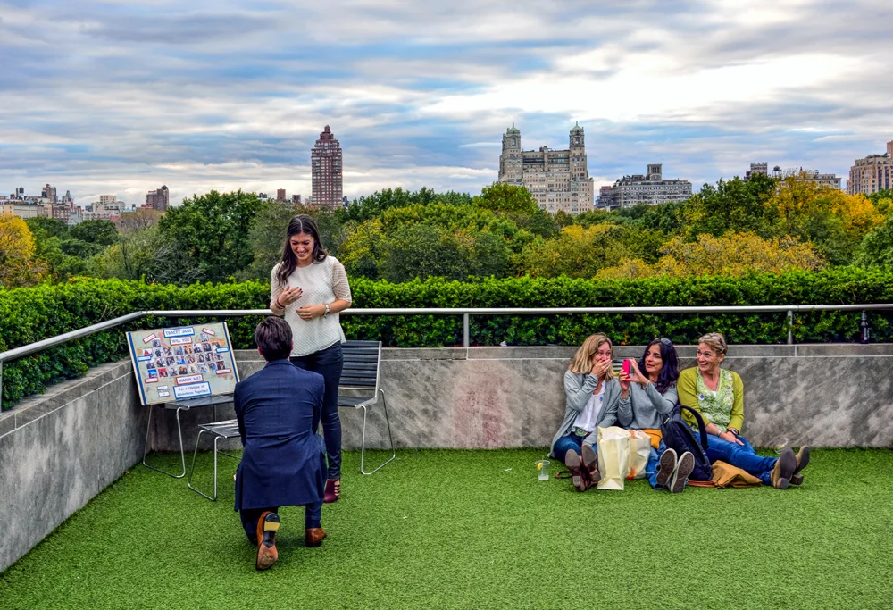 Proposal Met Roof
