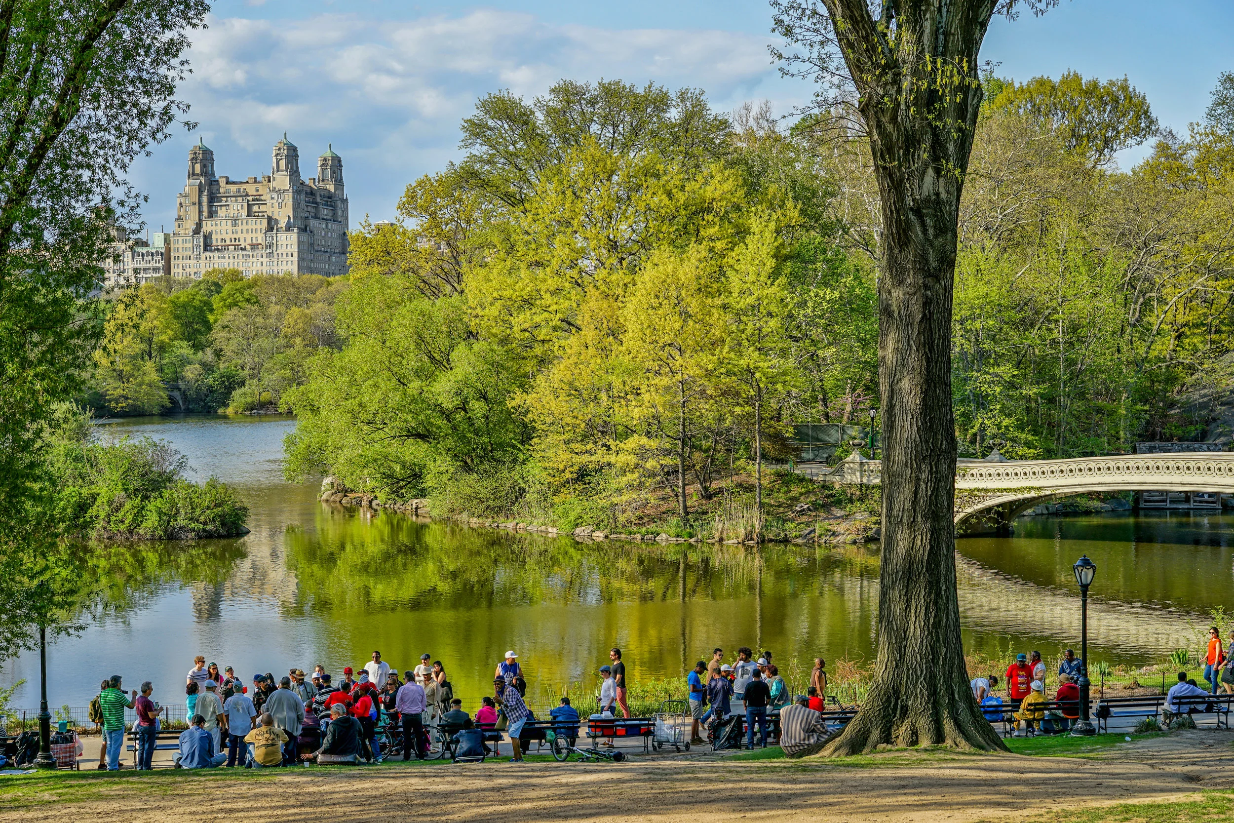 Central Park Sunday