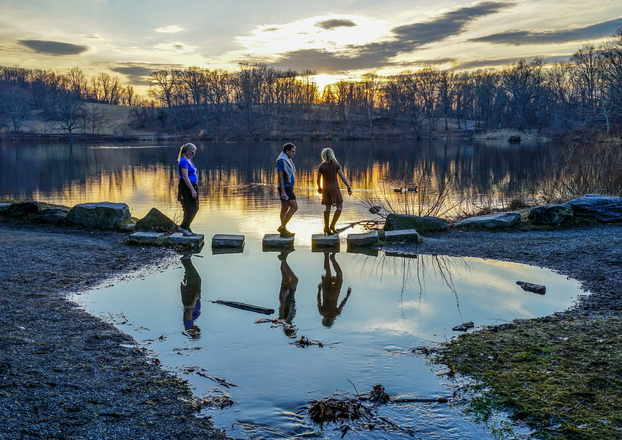 Rockefeller Reflections 
