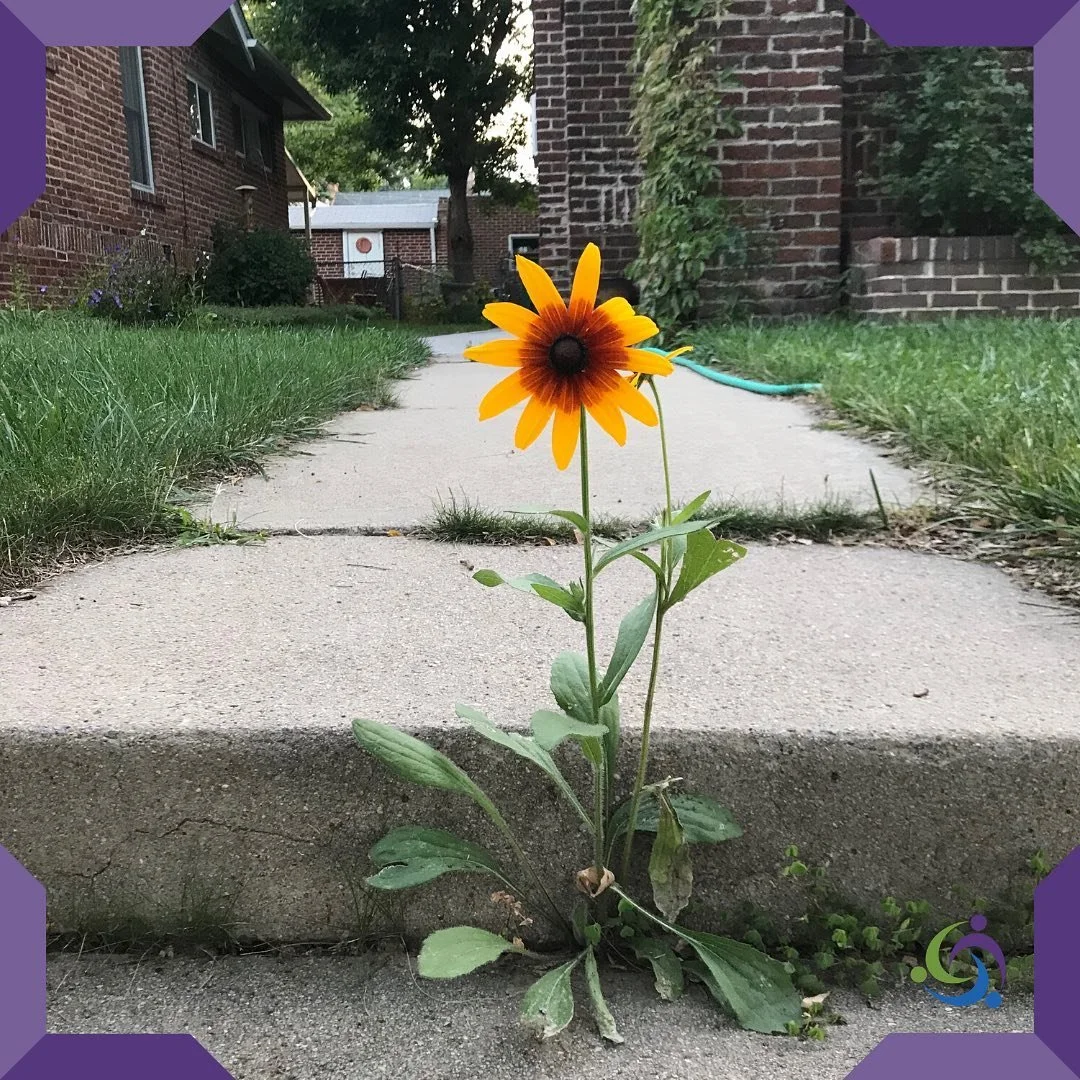 New Beginnings: The Beauty and the Fear of Starting Fresh