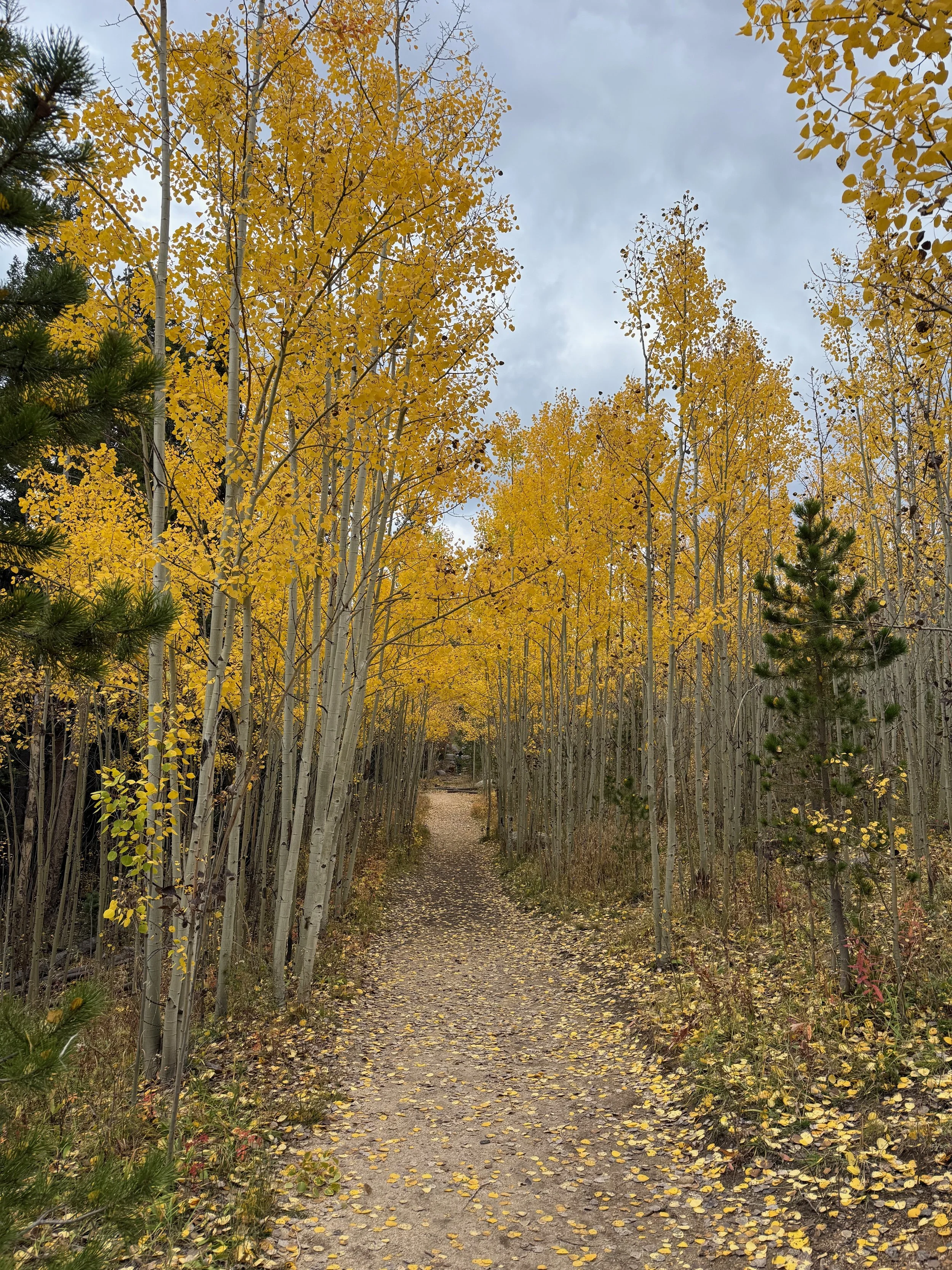 The Both/And of the Holidays: Holding Both the Joy and the Tender