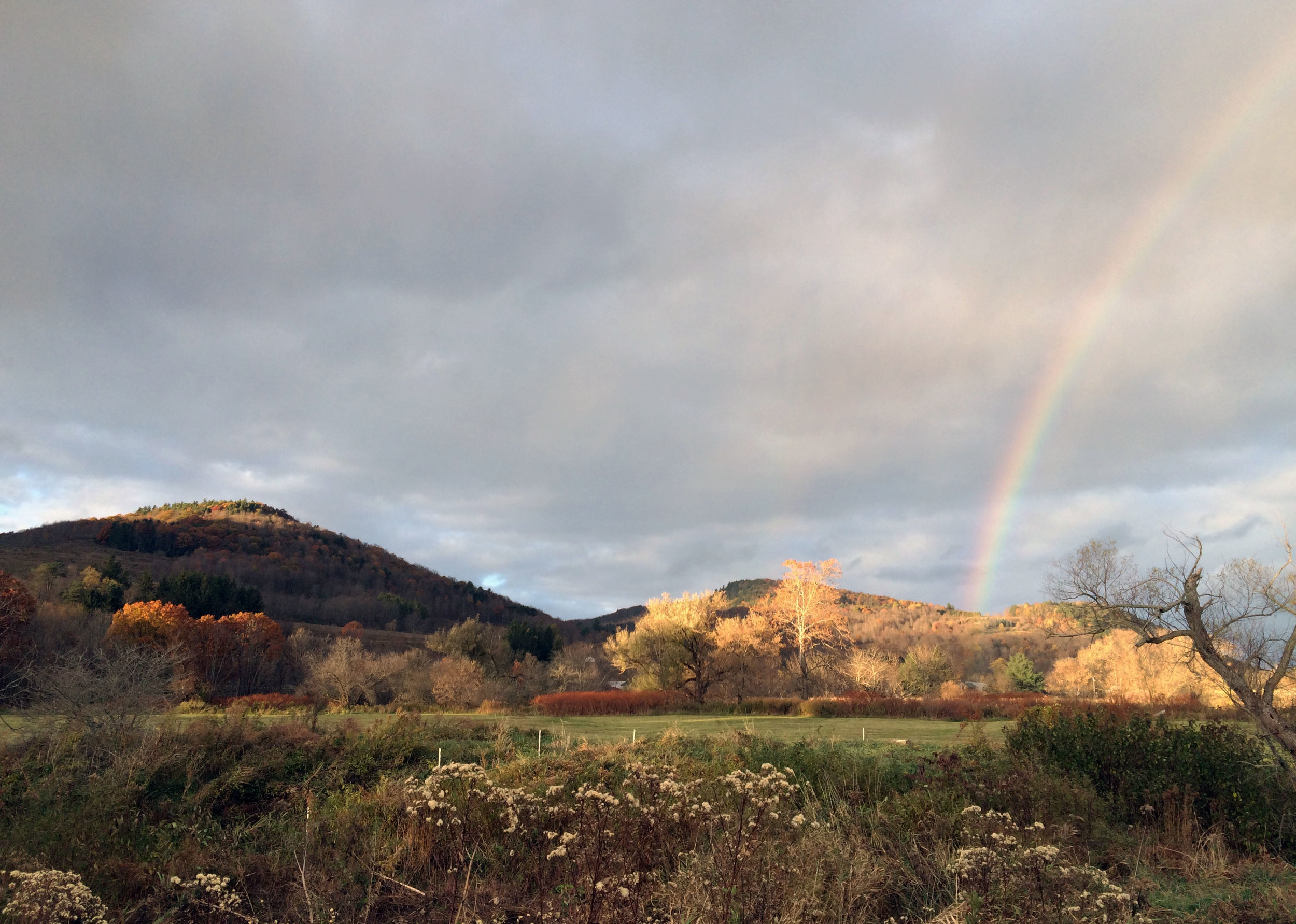 jewett rainbow image.jpg