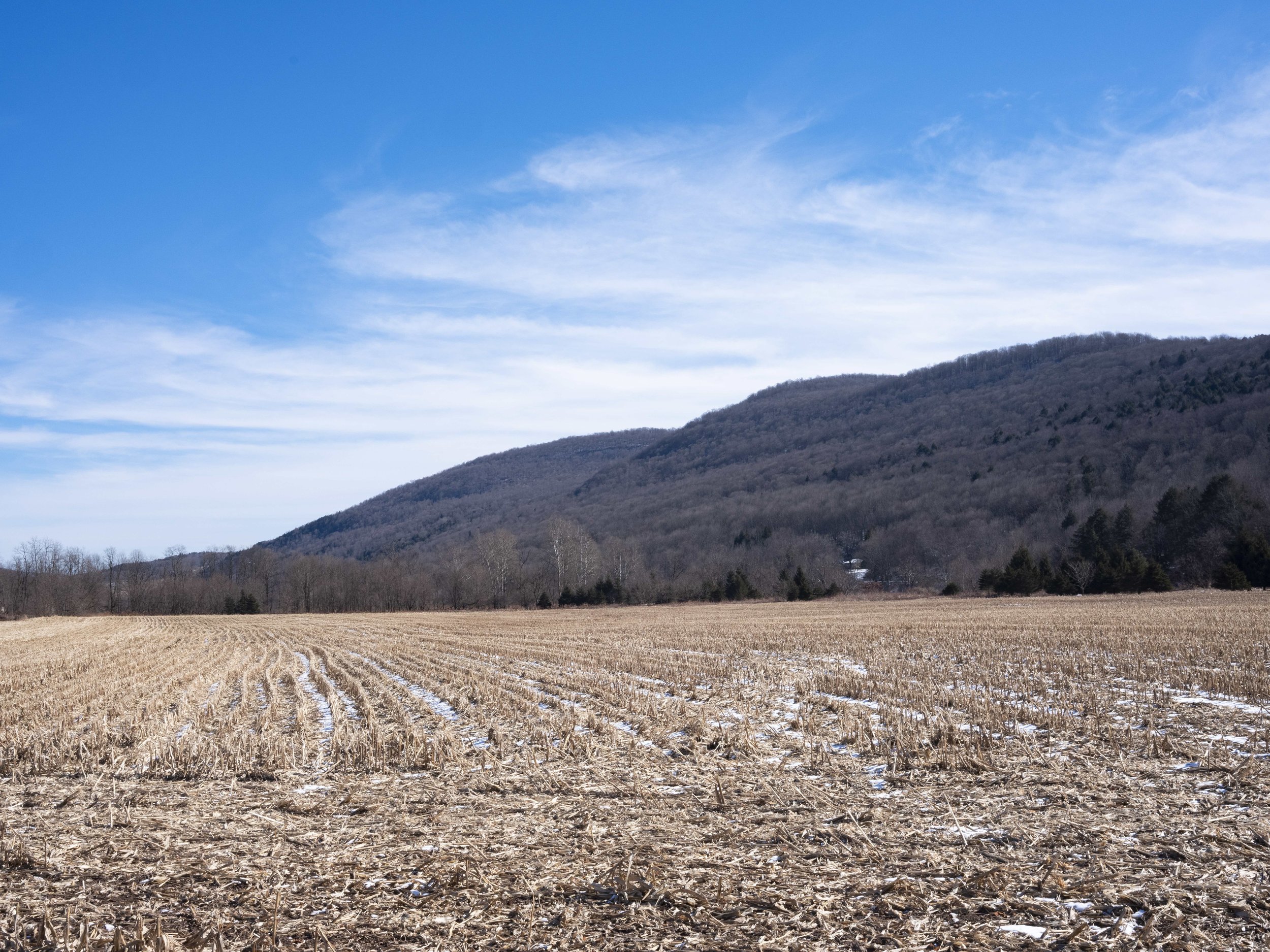 02 corn field and mountain.jpeg
