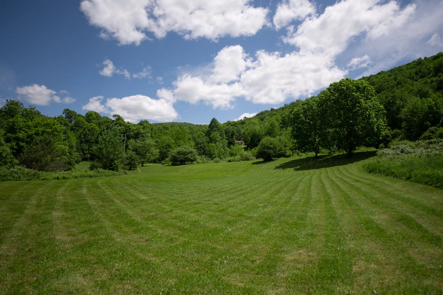 11 ext-big-lawn-2.jpg