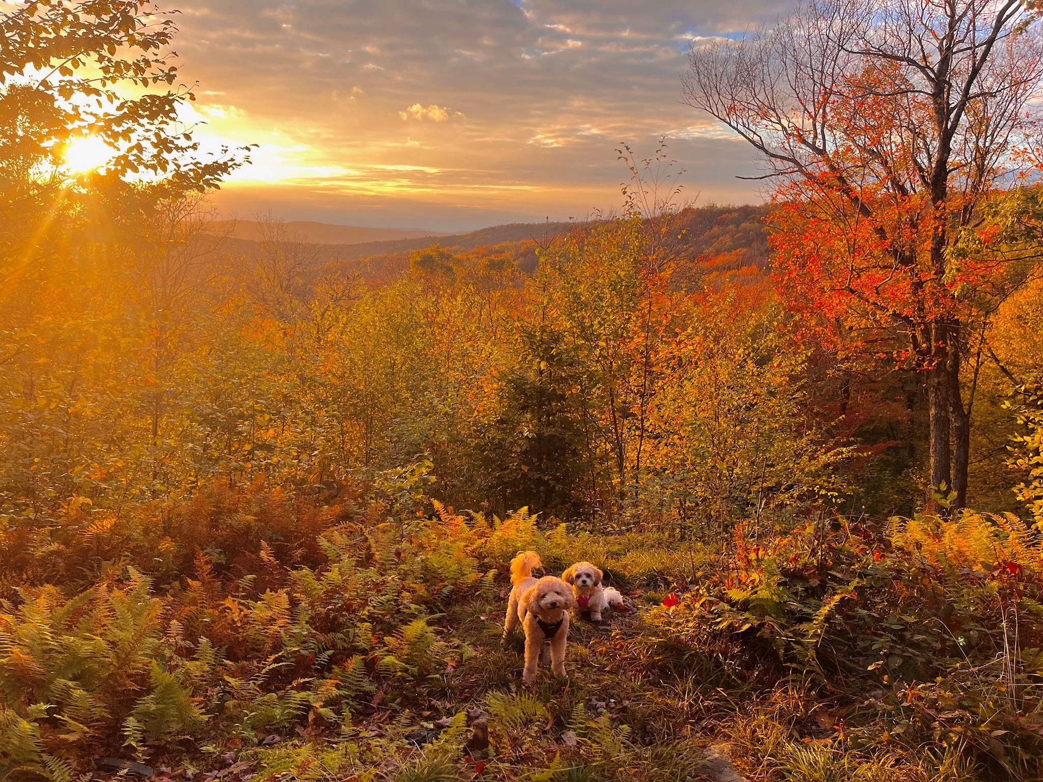 12 view from up high.JPG