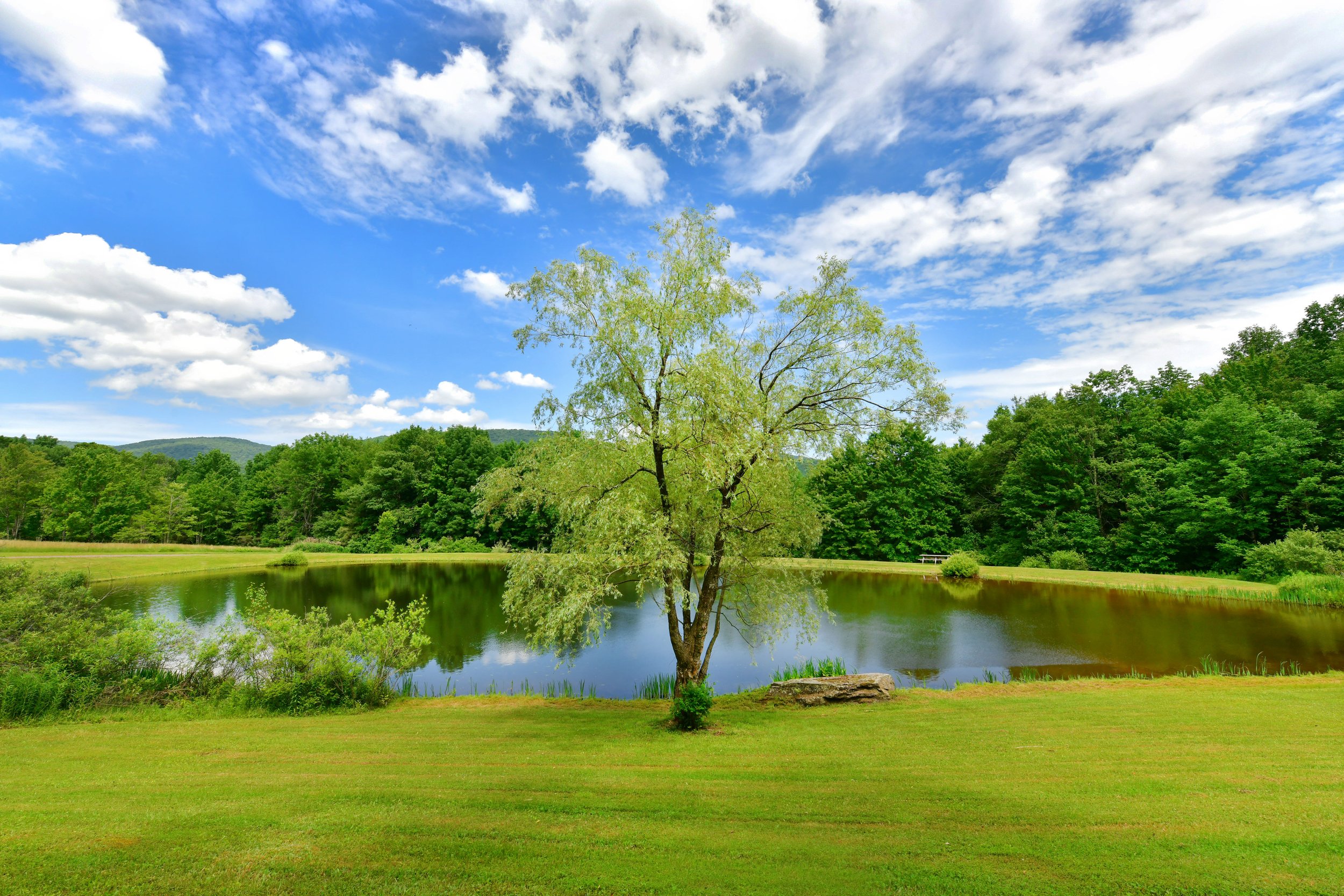 02 lower pond.jpg
