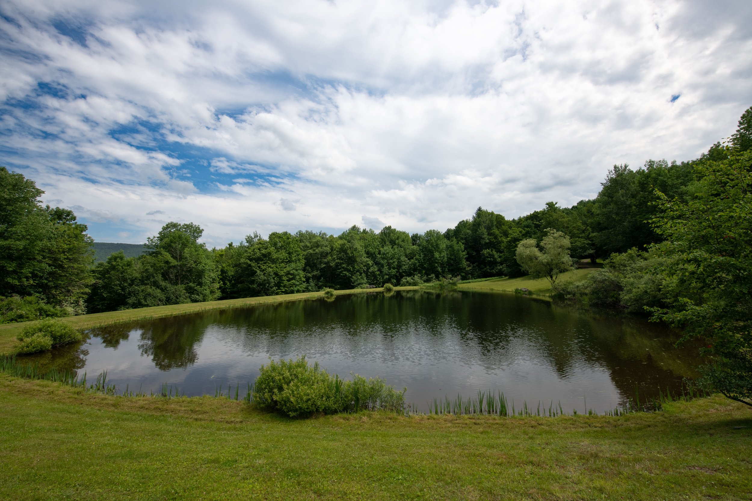 24 lower pond.jpg