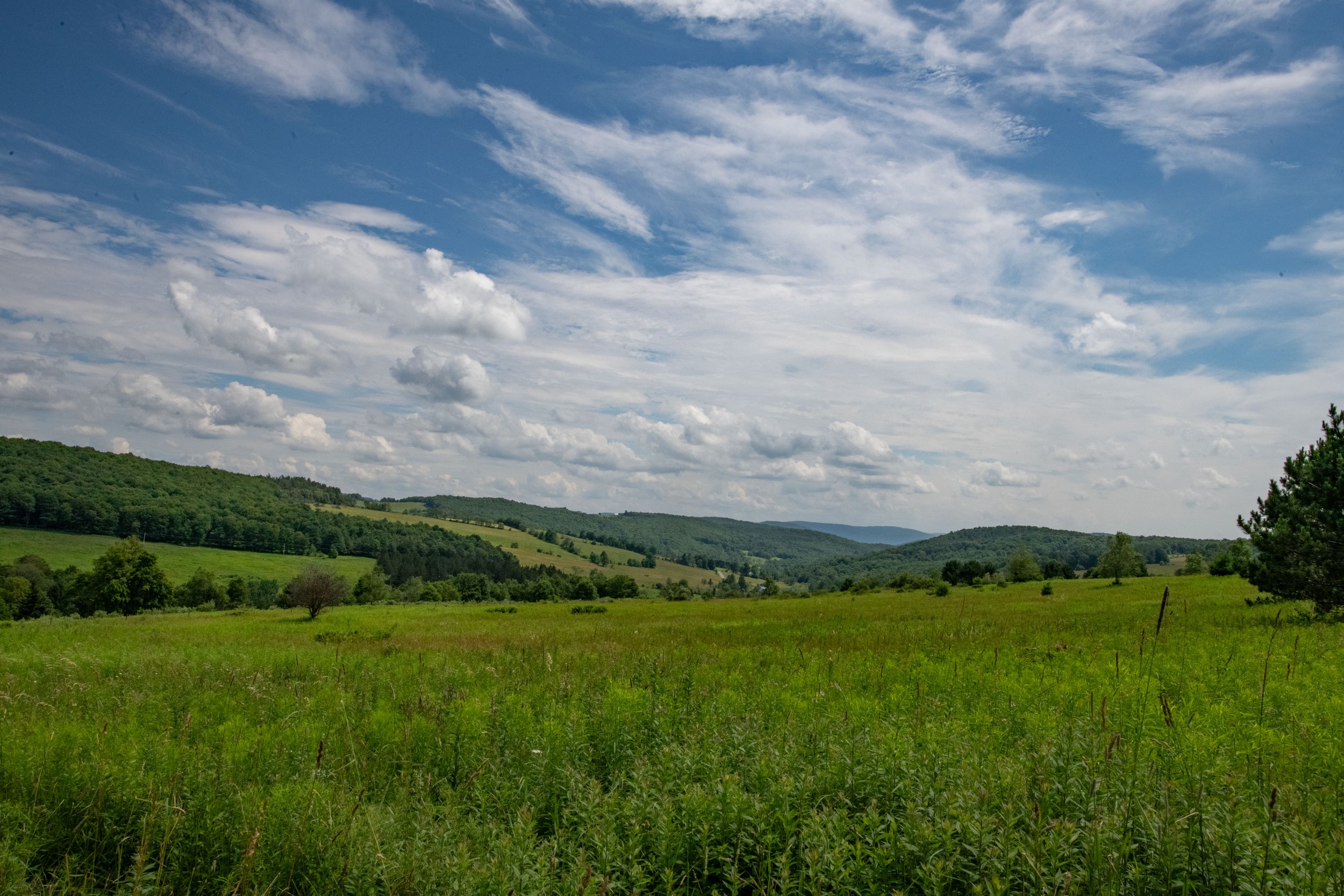 00-long-view.jpg