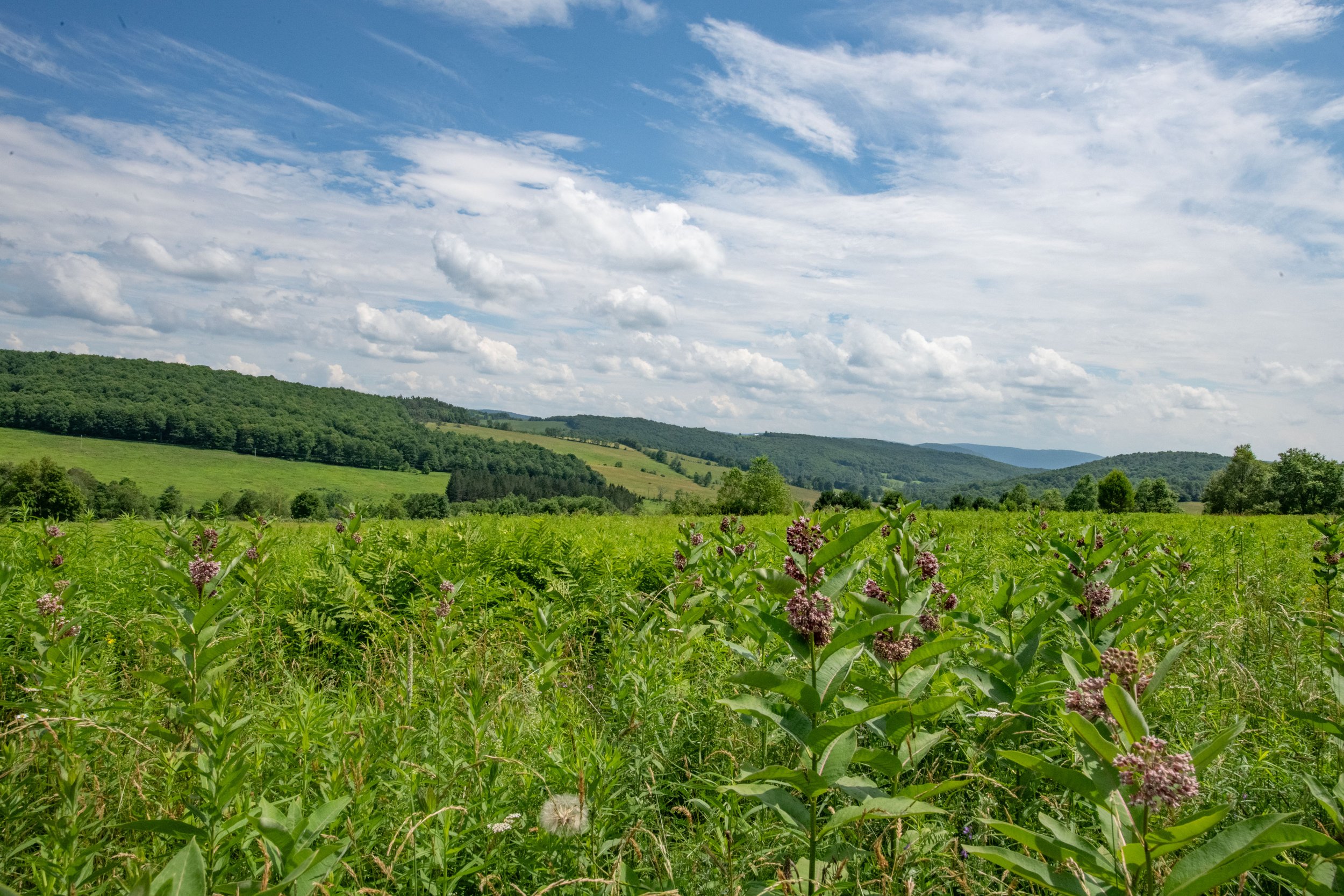 01-long-valley-view.jpg