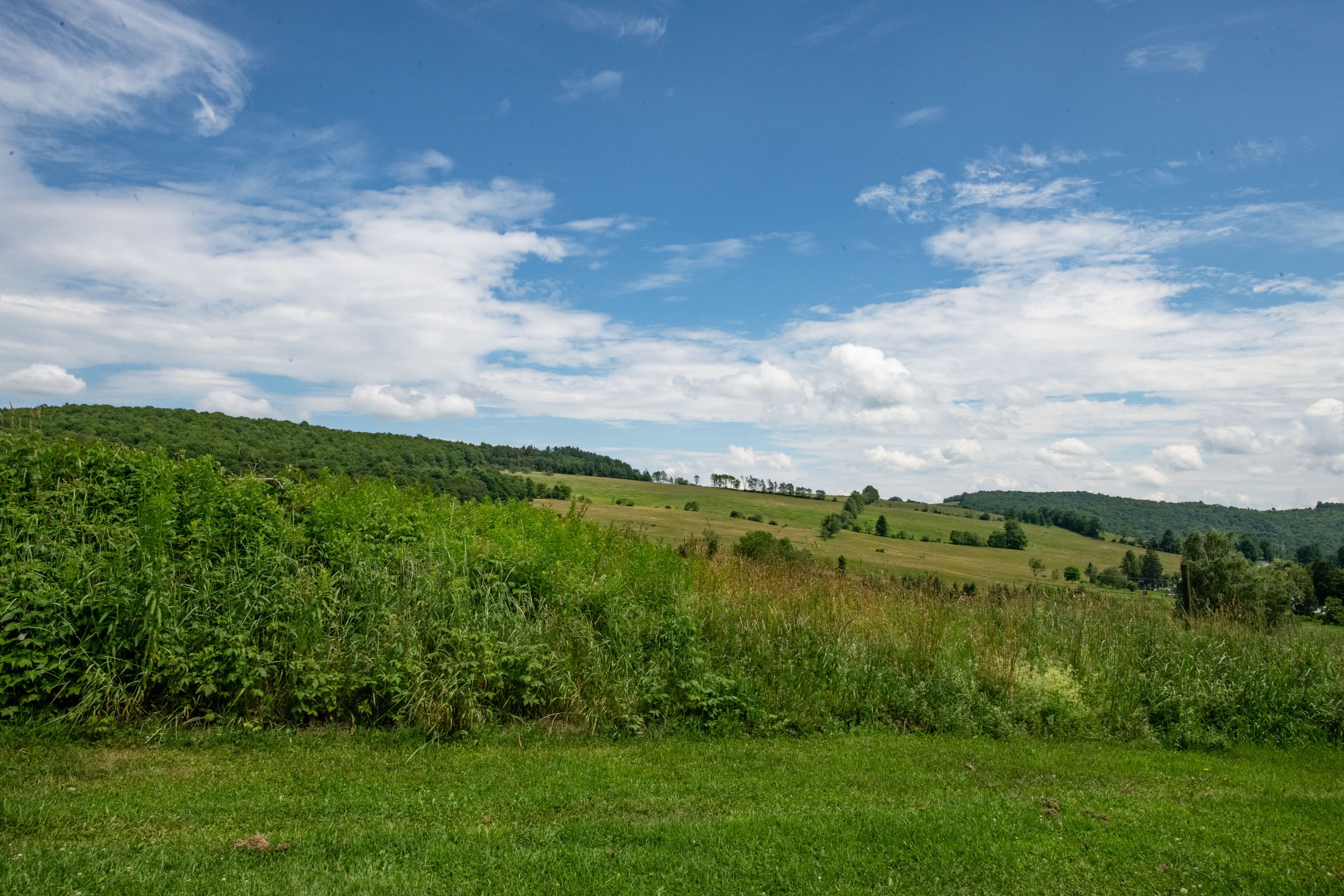 22-view-of-fields.jpg