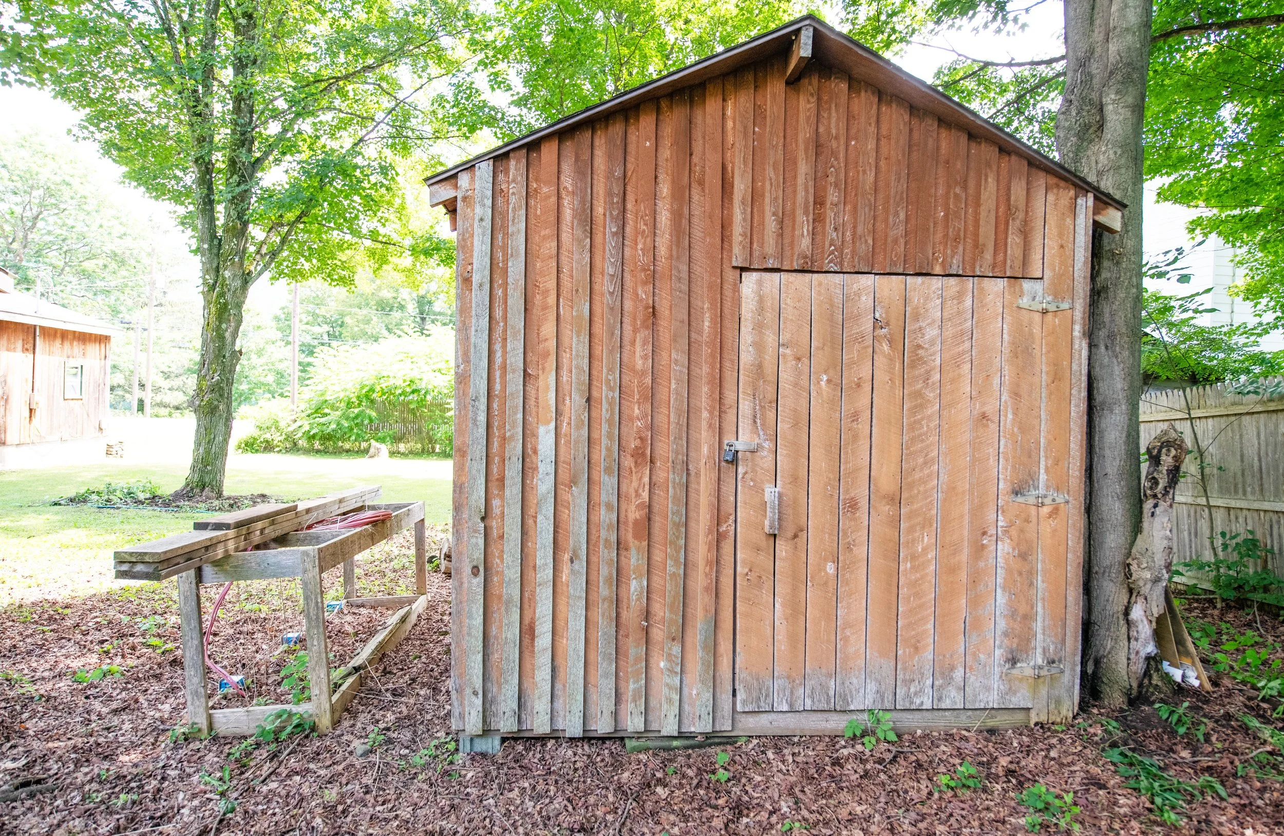 11-Shed.jpg