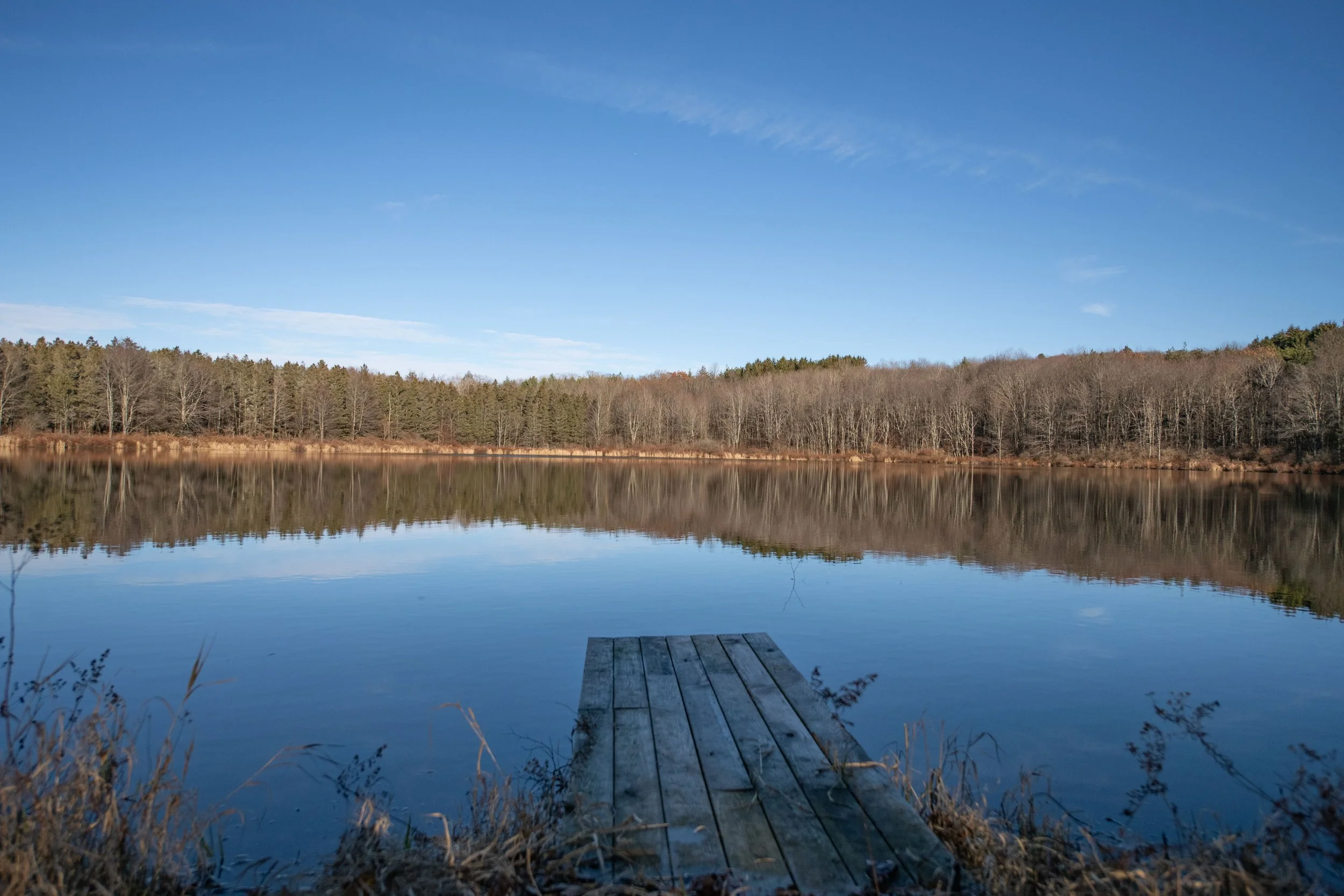 01 dock-and-pond-view.jpg