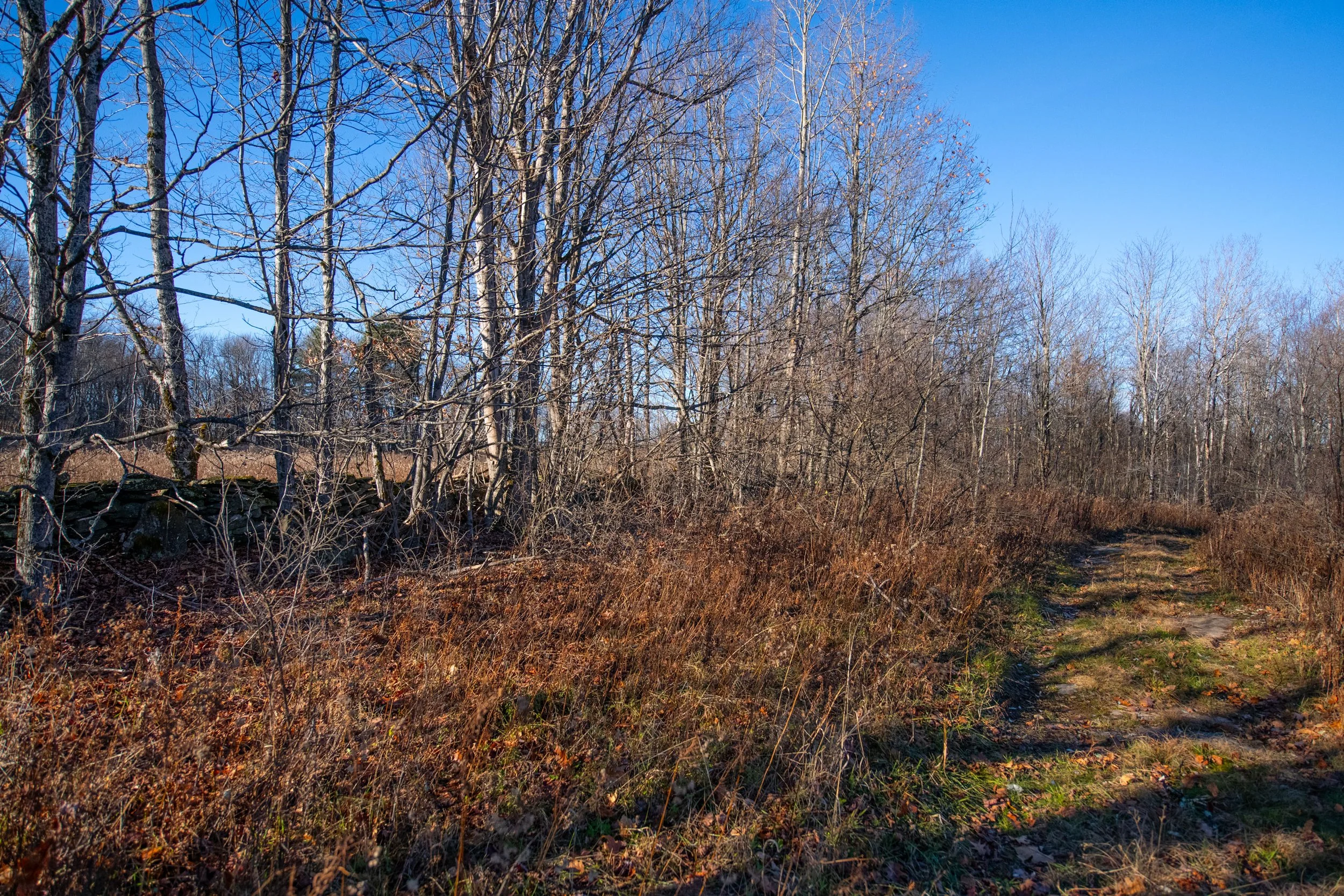 09 stonewall-trail.jpg