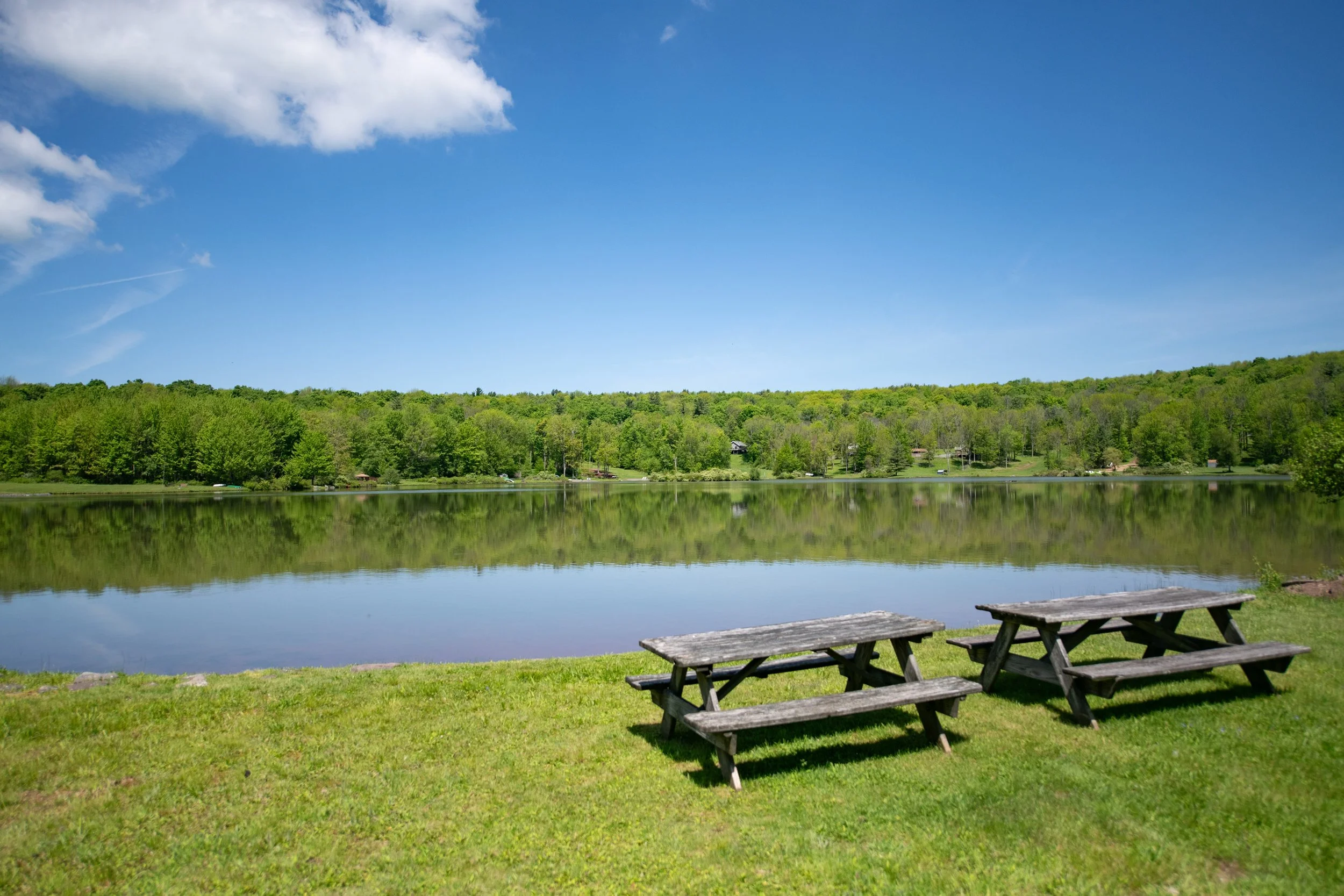lakeview.jpg