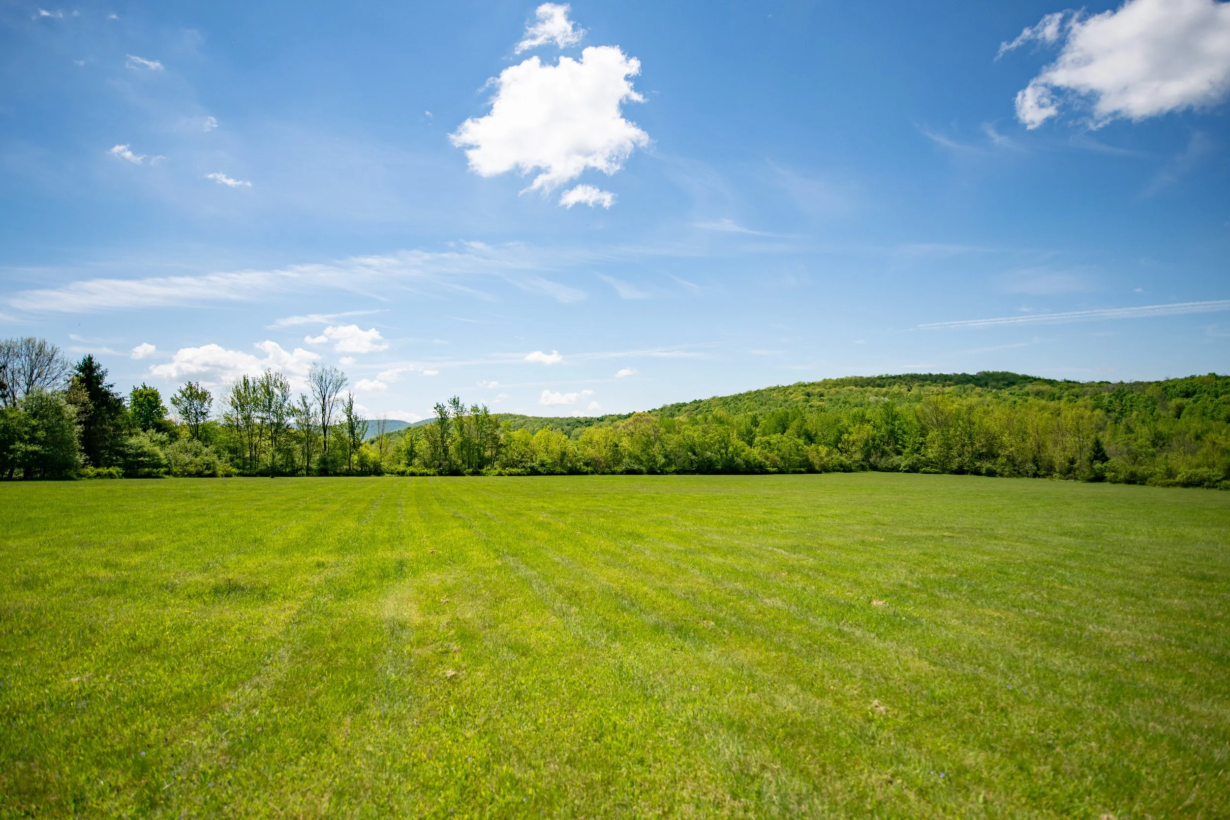 yardview.jpg