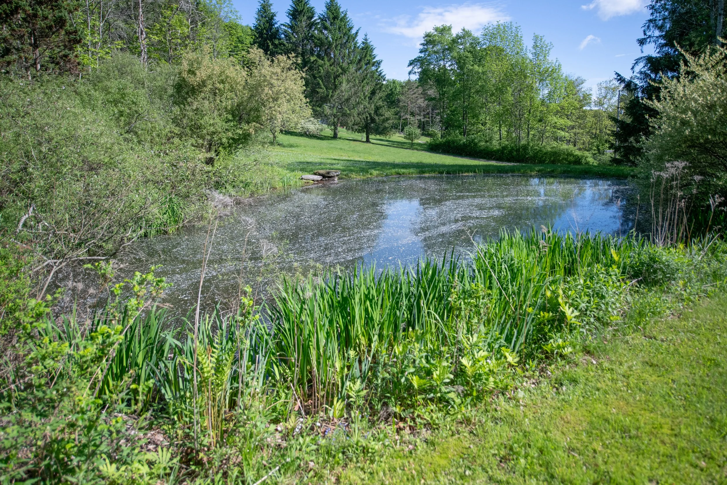 20 ext-pond.jpg