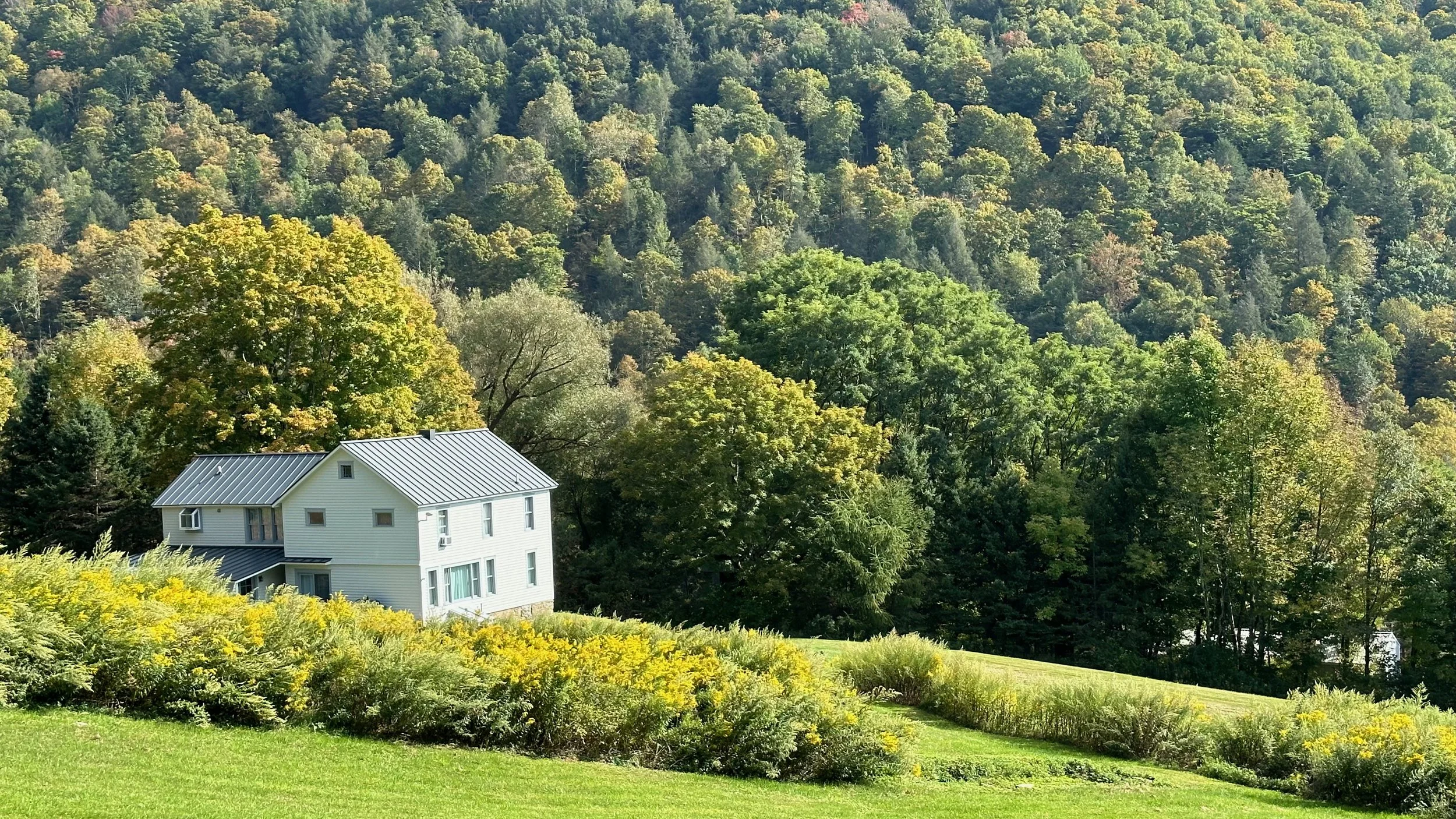 03 house and hillside.jpeg