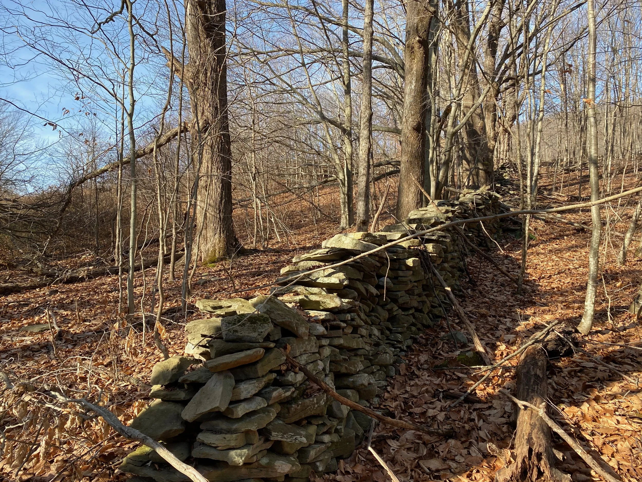 07 stone wall IMG_0224.jpeg