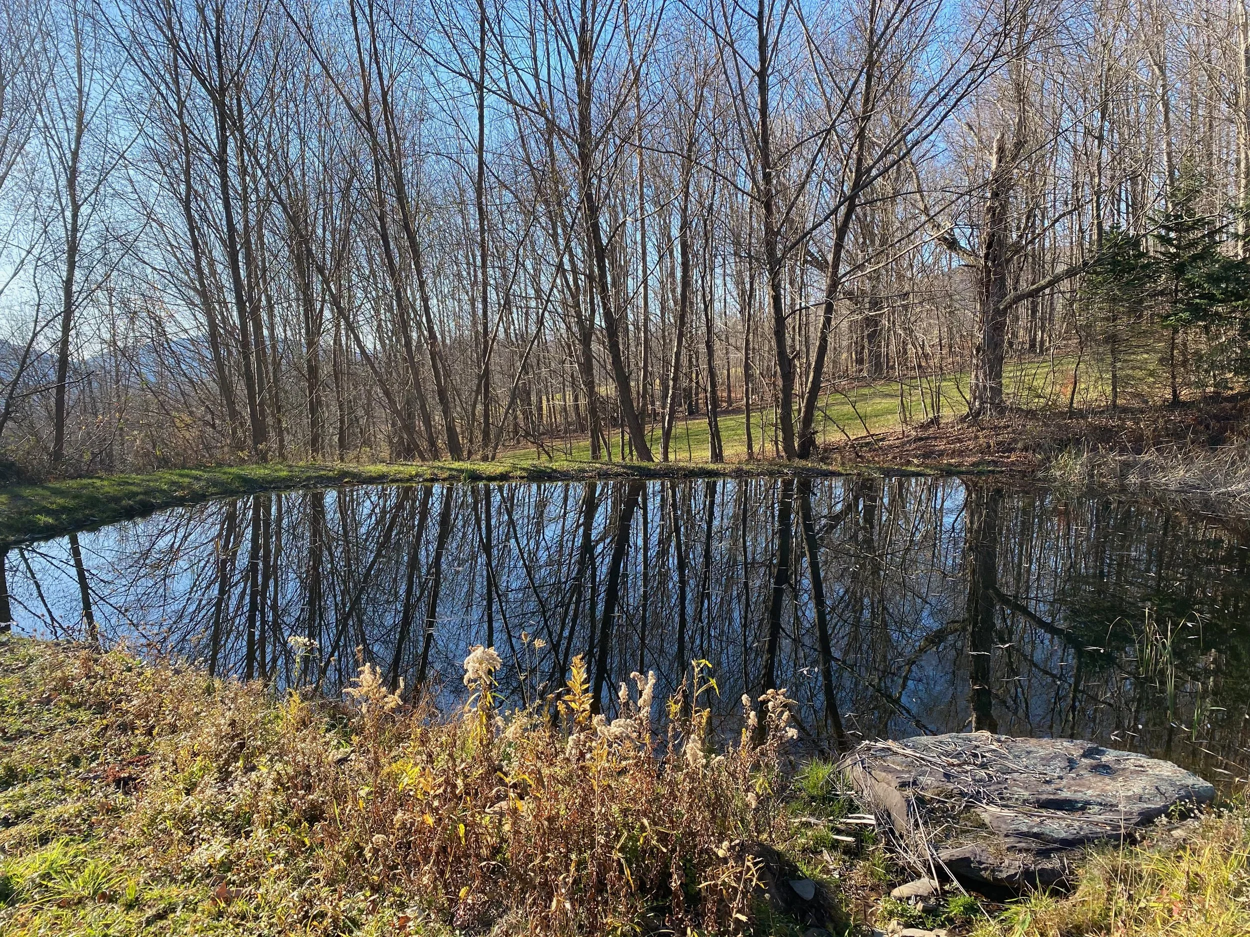 45 pond.jpeg