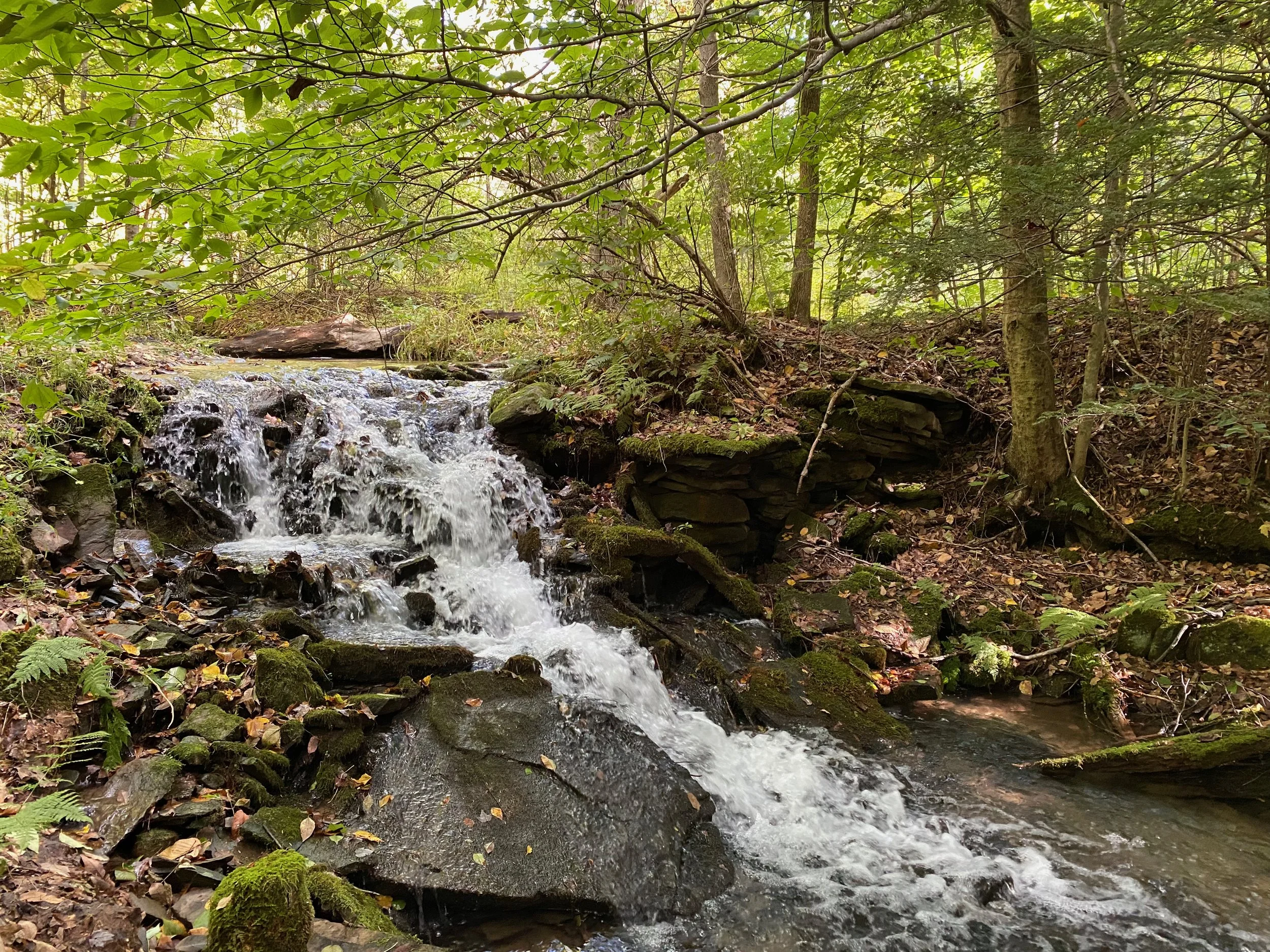 53 waterfall stream.jpeg