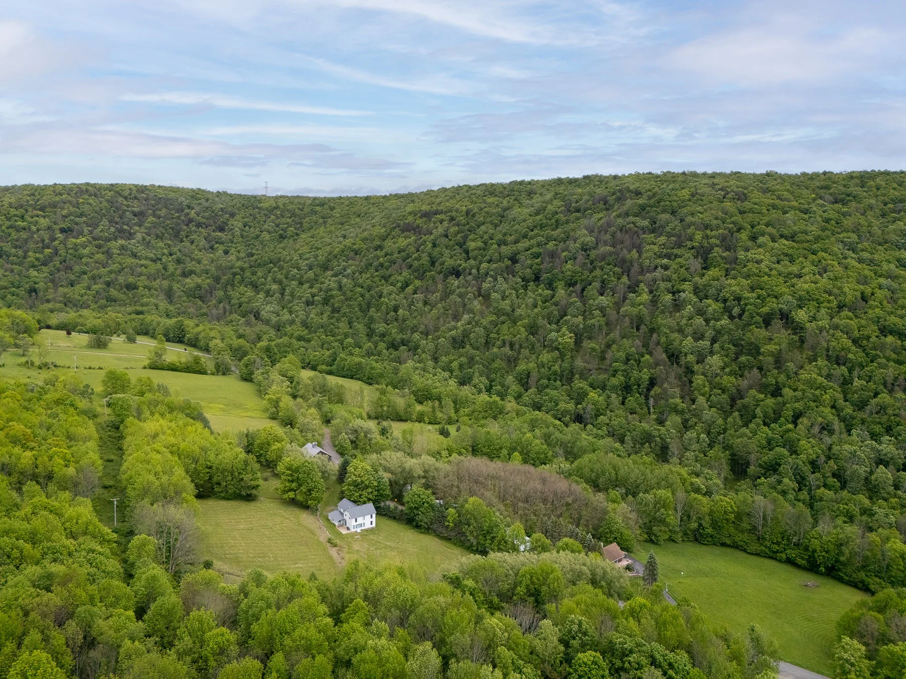 98 DJI House fields and mountain.jpg