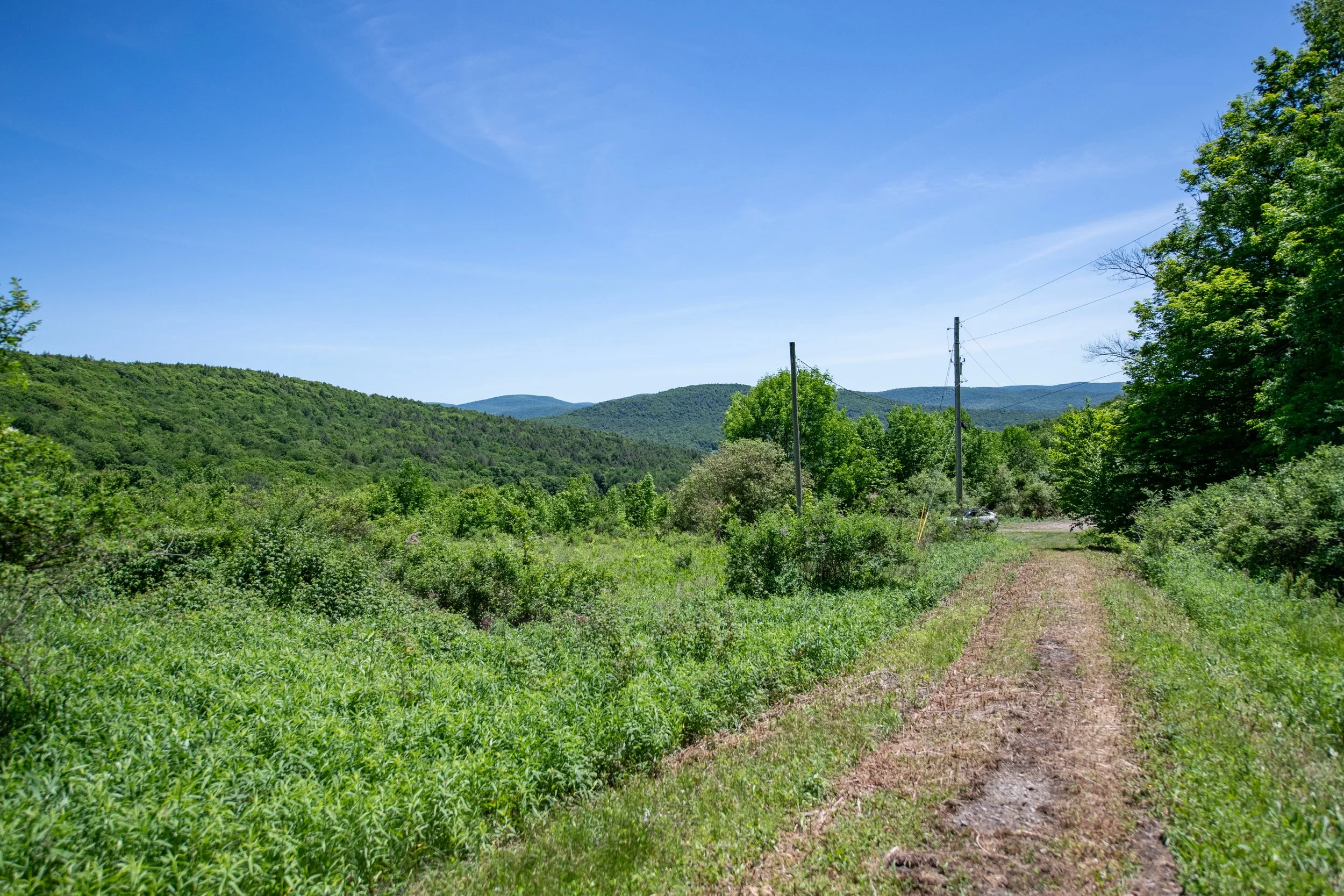 01-view-from-driveway.jpg