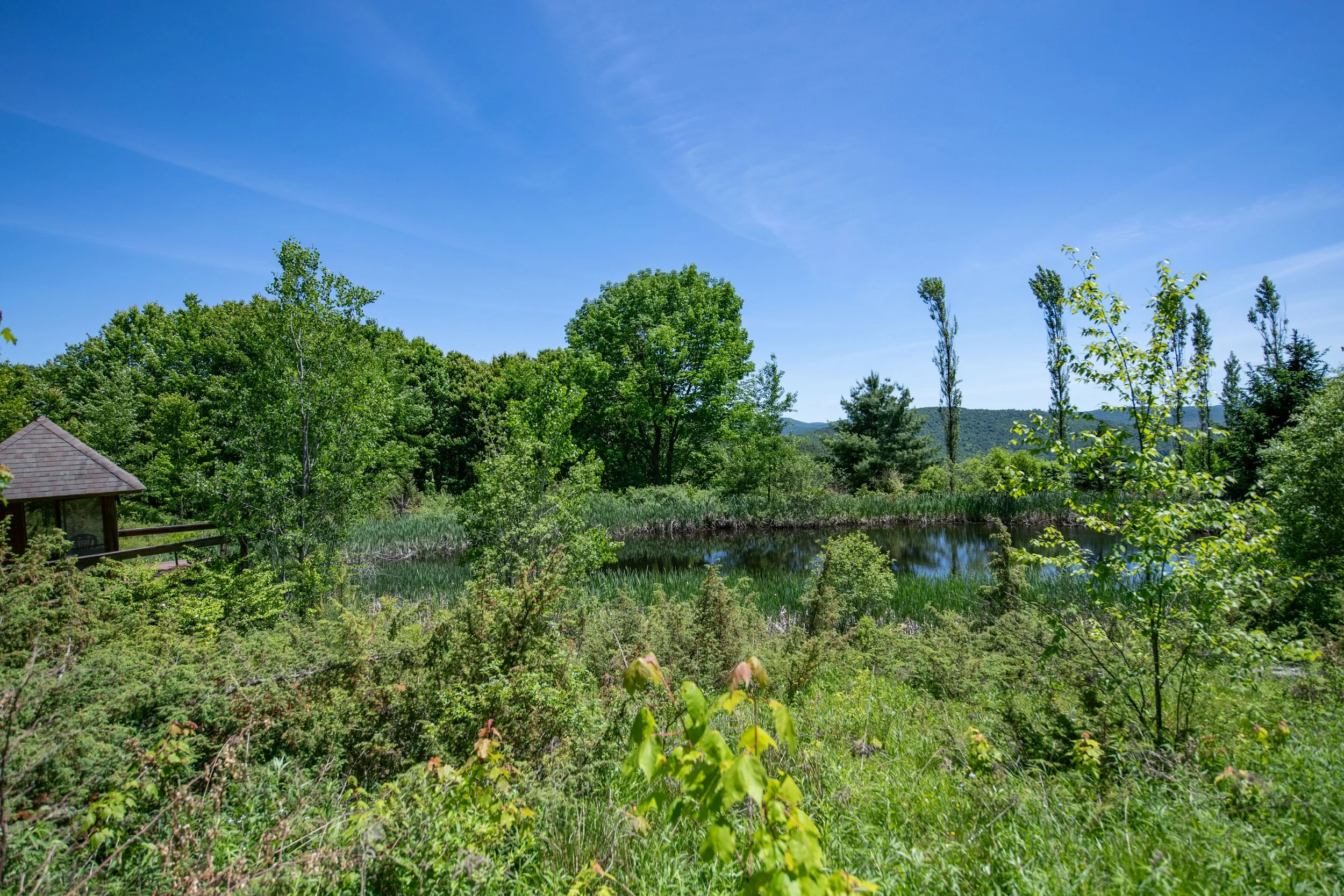 02 pond-pergolar-and-view.jpg