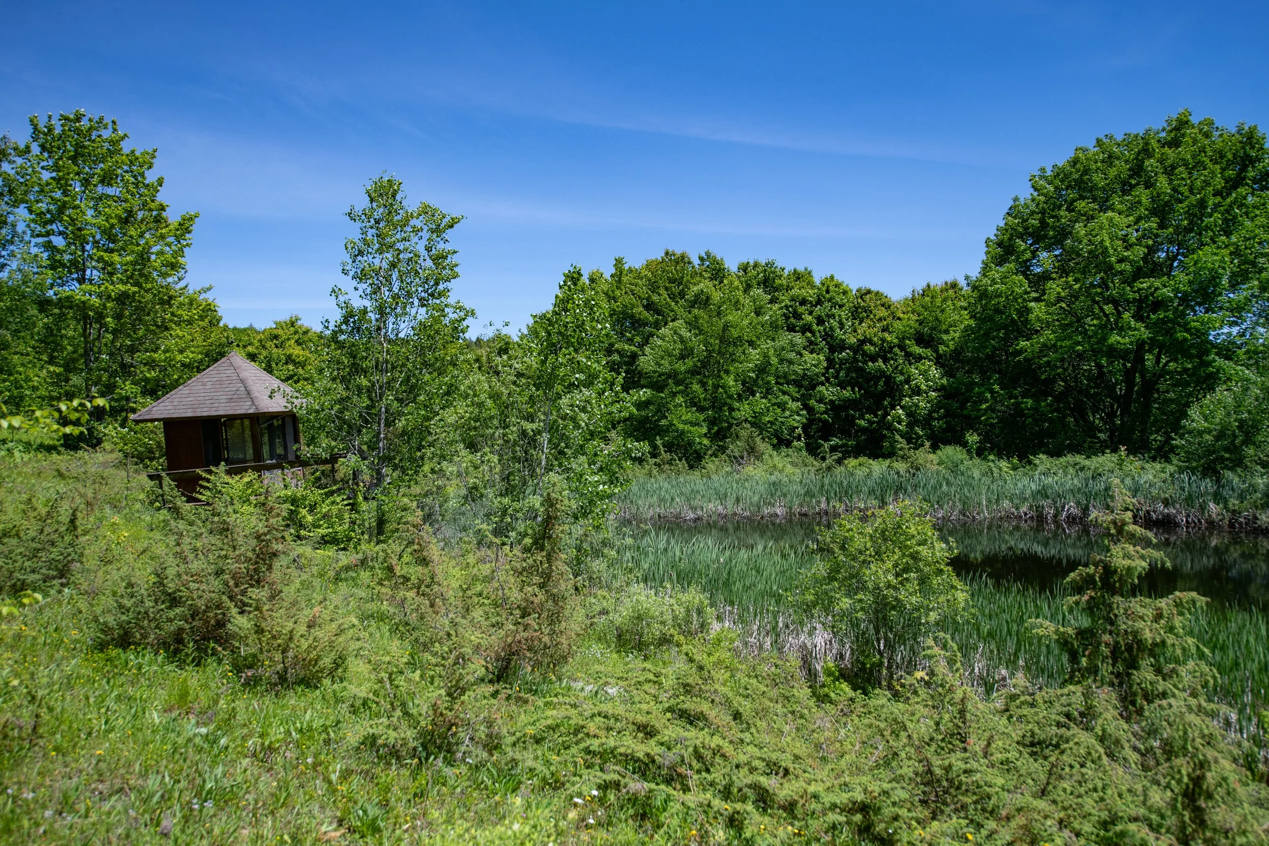 pond-and-pergola.jpg