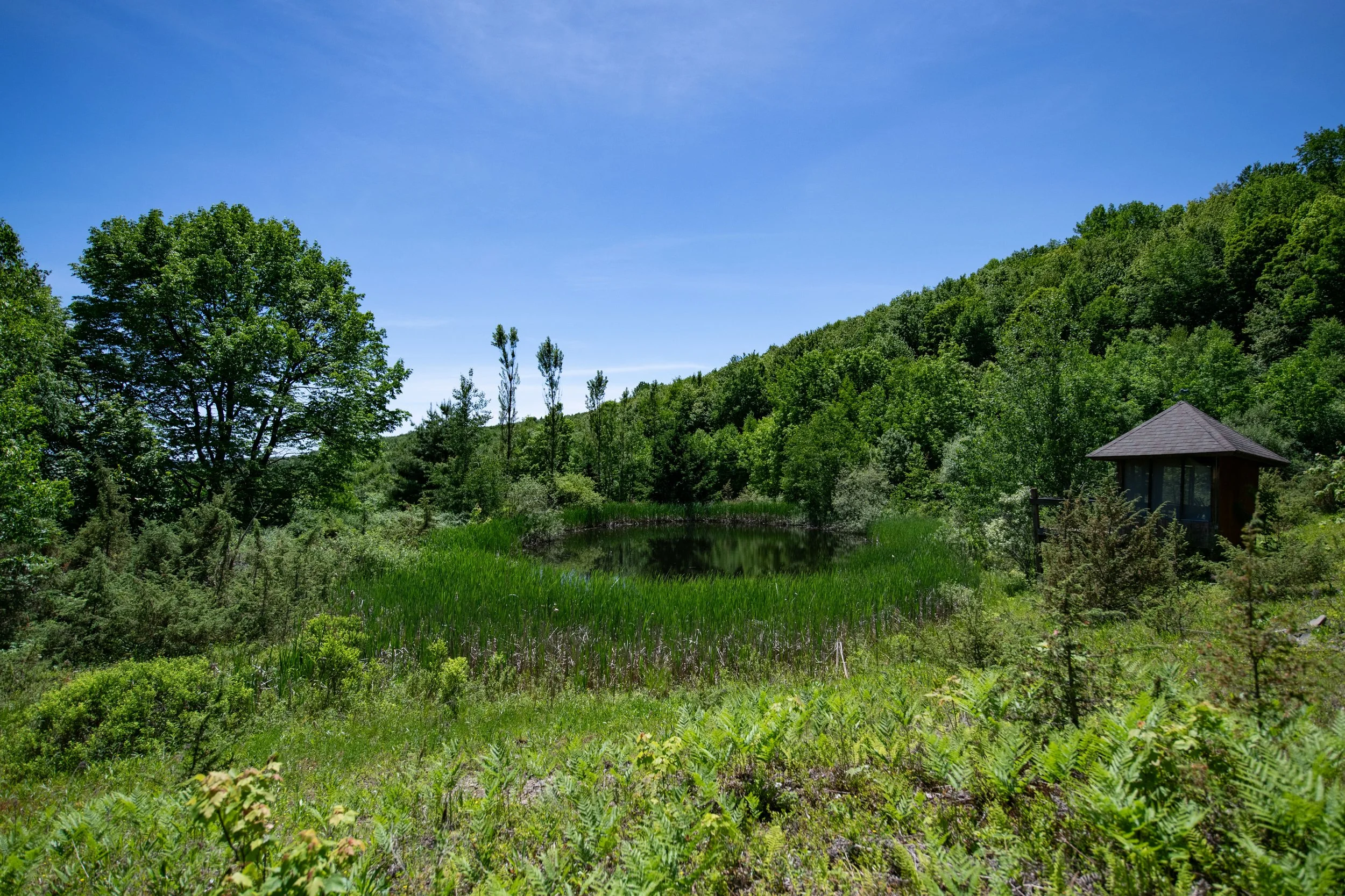 pond-and-view.jpg
