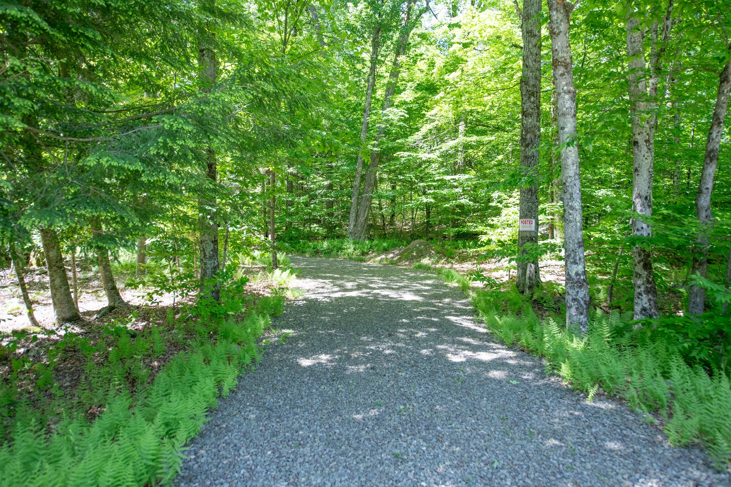 09 driveway.jpg