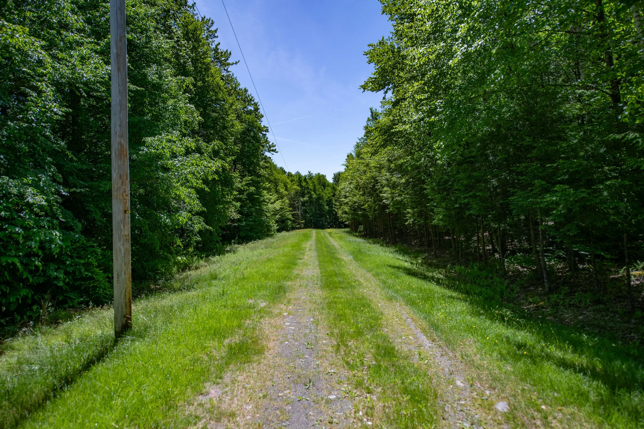road.jpg