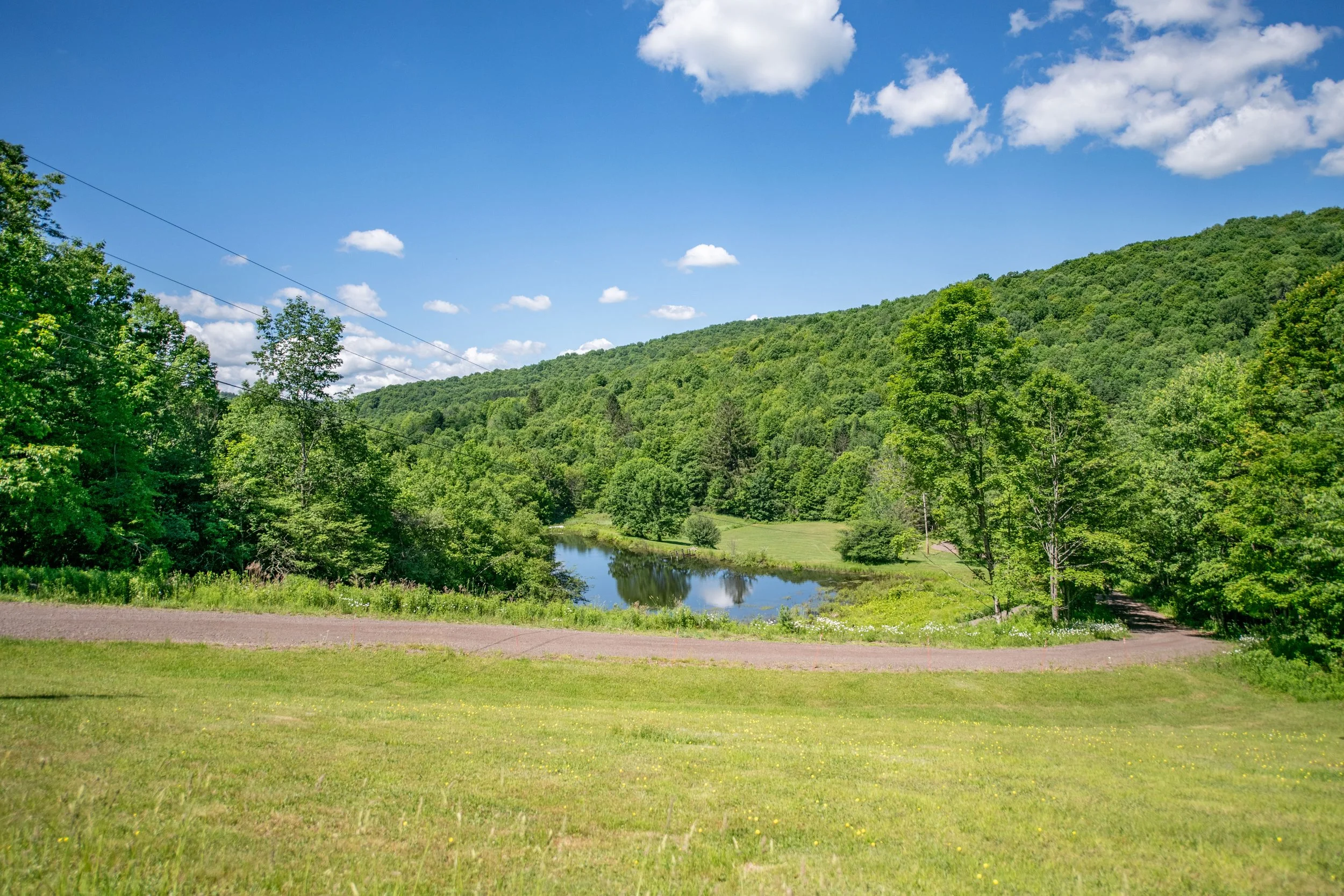 02-pond-view-from-house.jpg