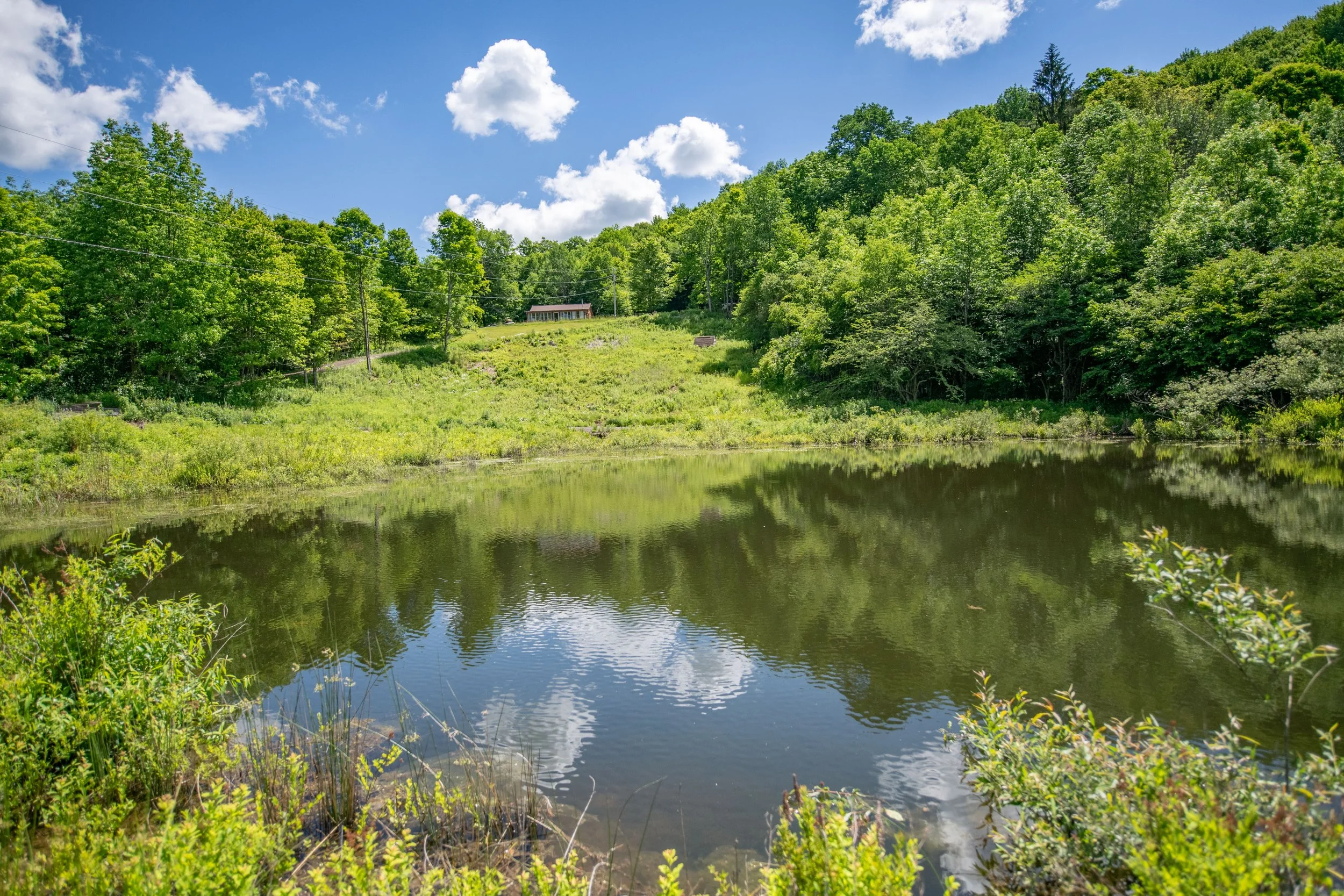 02-view-of-house-from-pond.jpg