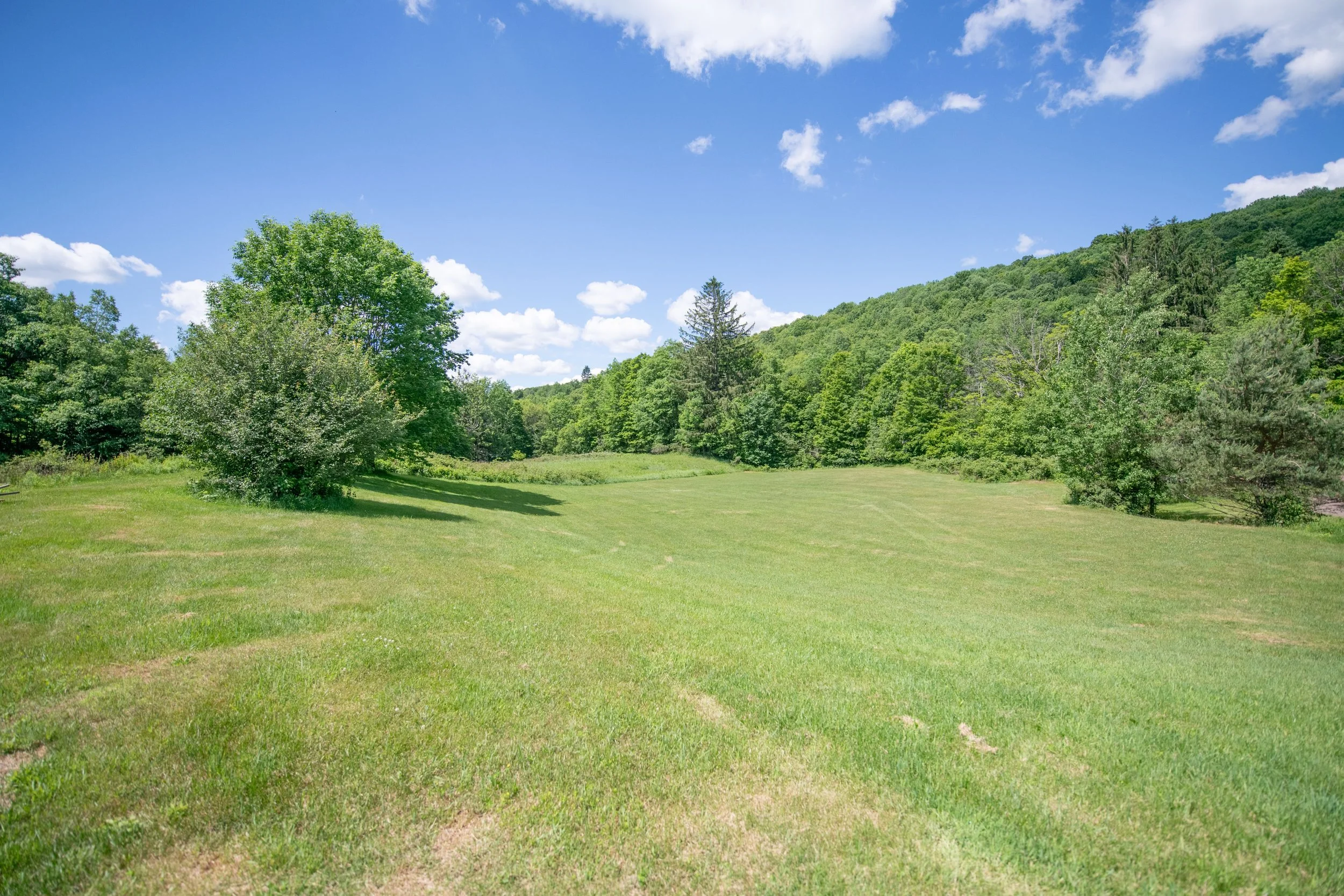 19-big-lawn.jpg