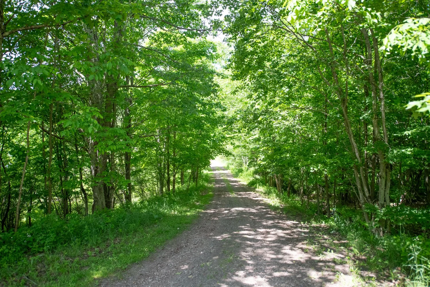 21 ext-driveway.jpg