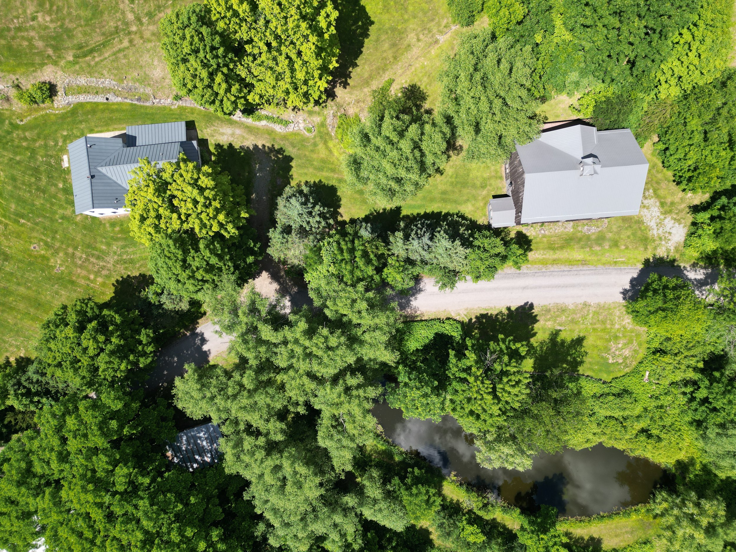 birds eye with pond.jpg