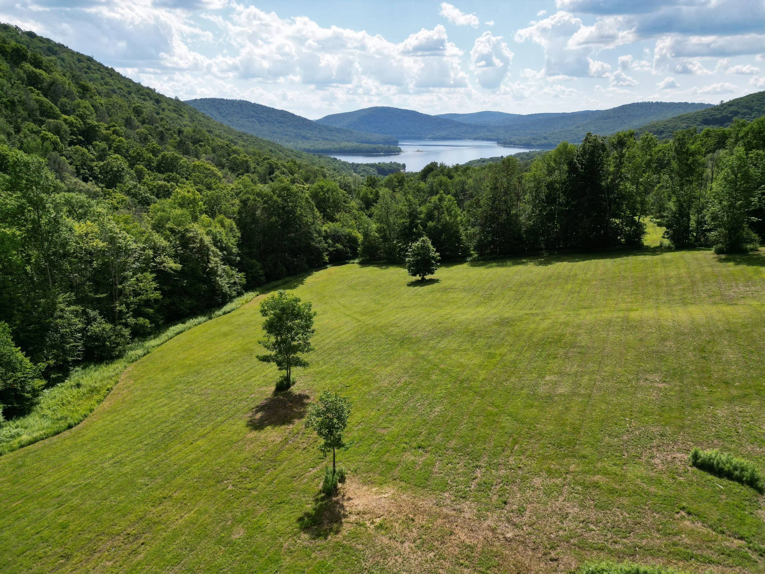 field plus reservoir.jpg