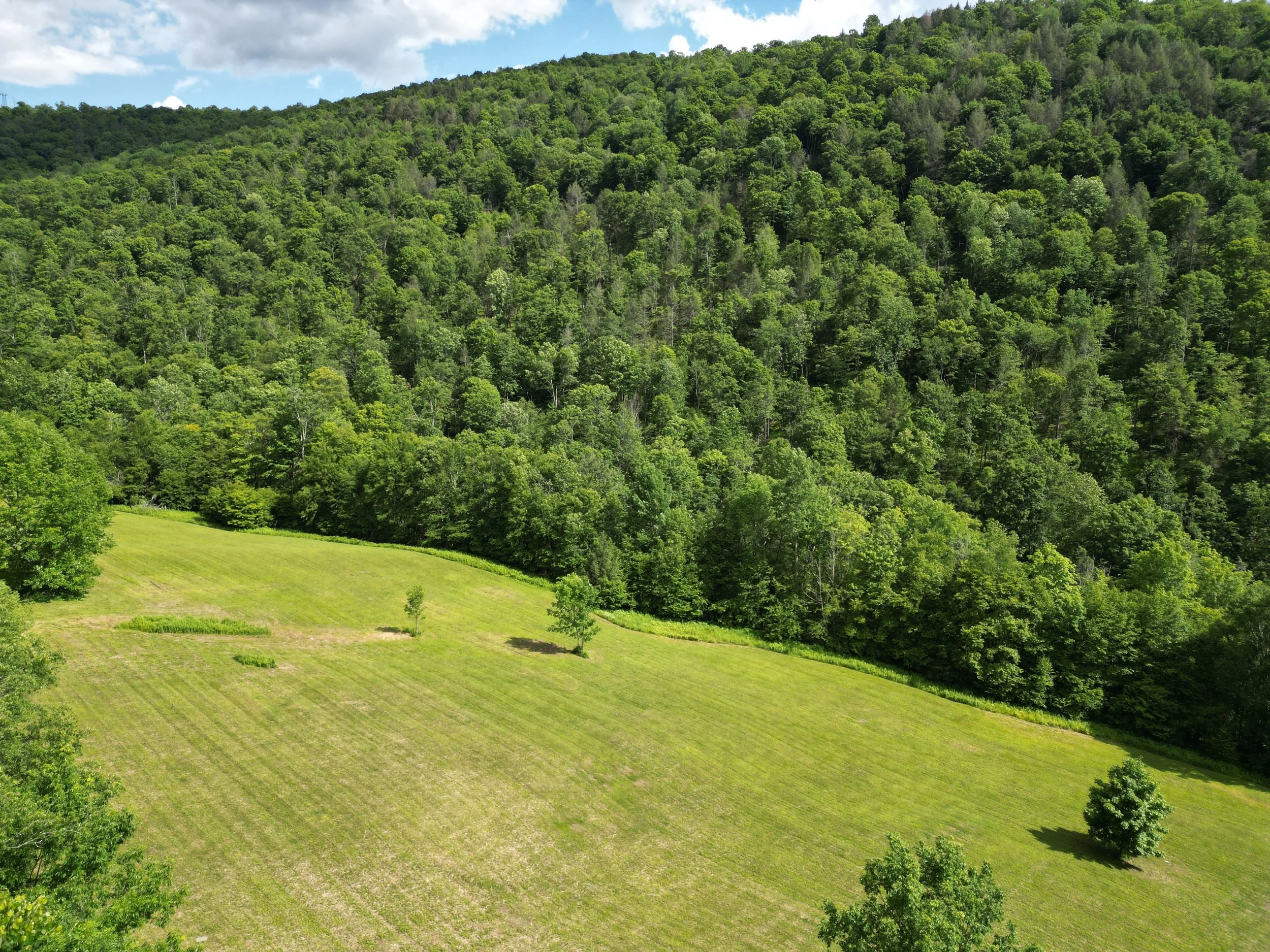 lower field.jpg