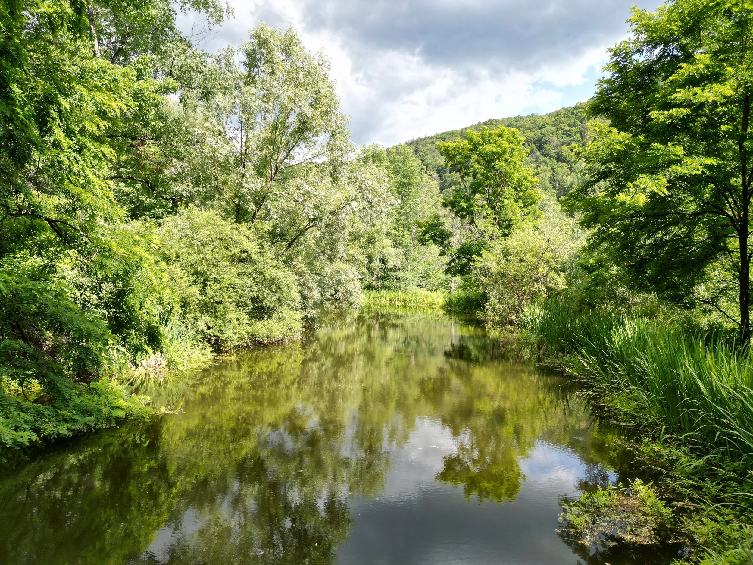 pond low shot.jpg