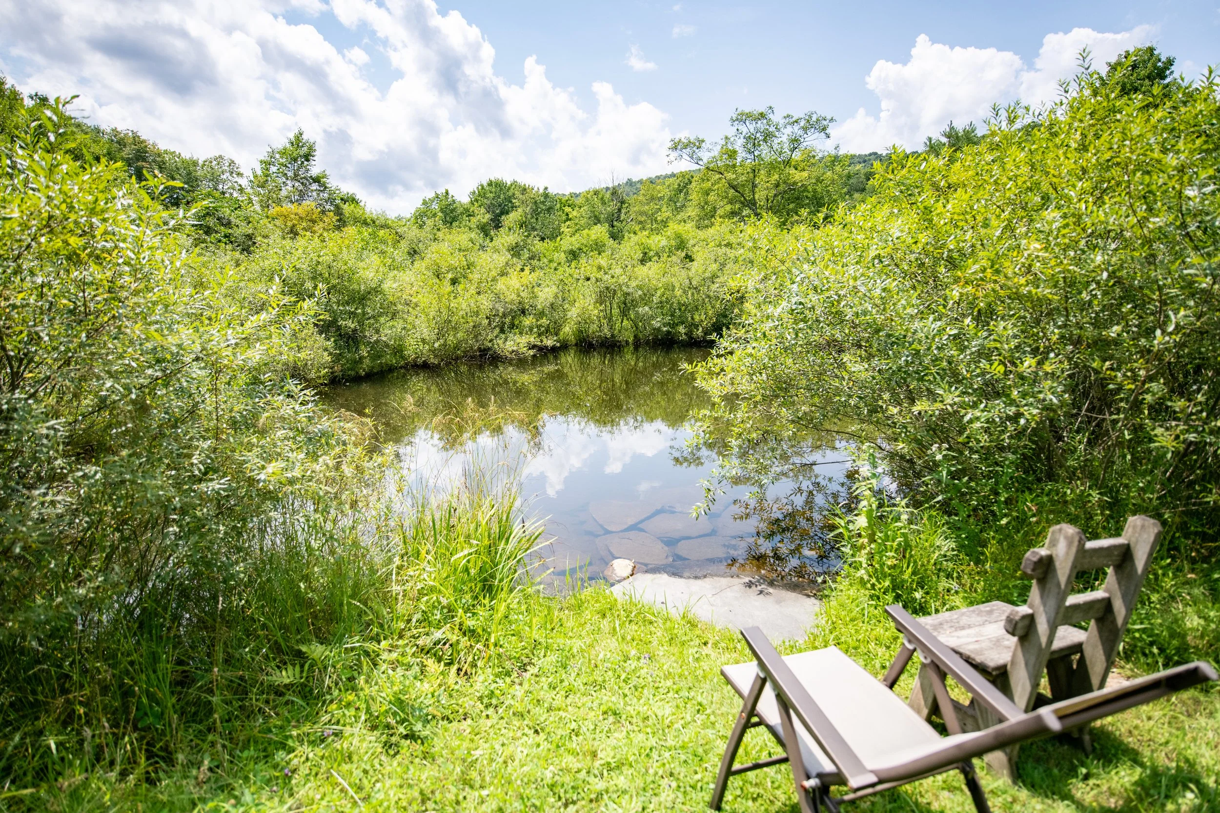 02-pond.jpg