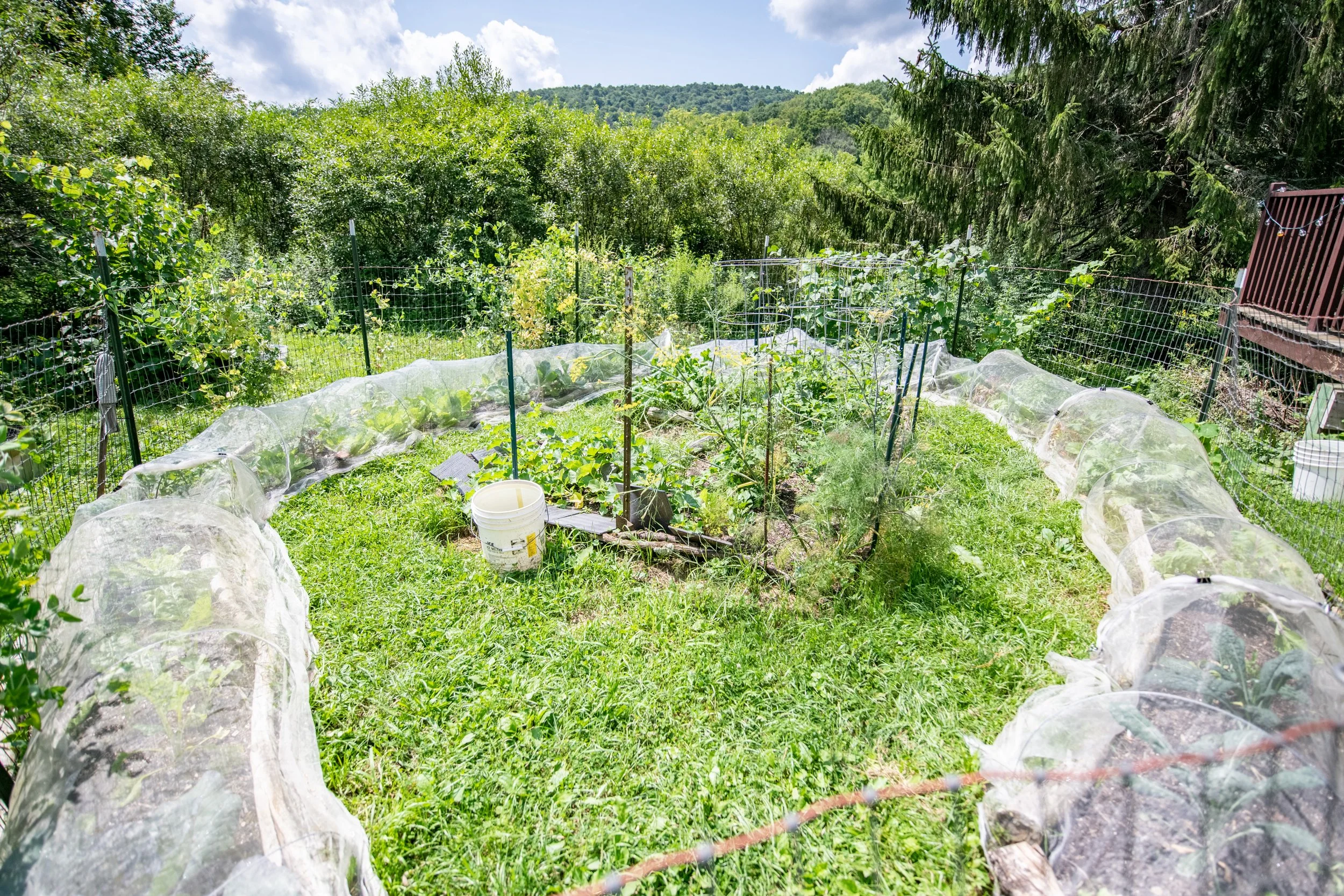 23-garden.jpg