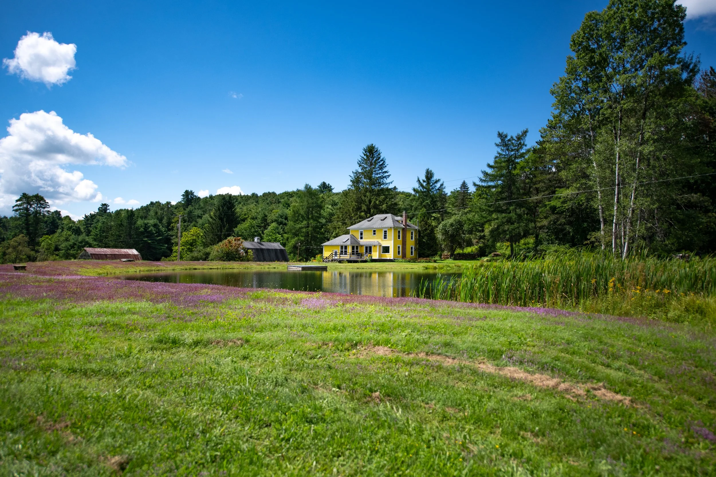 02 house from far side of pond.jpg