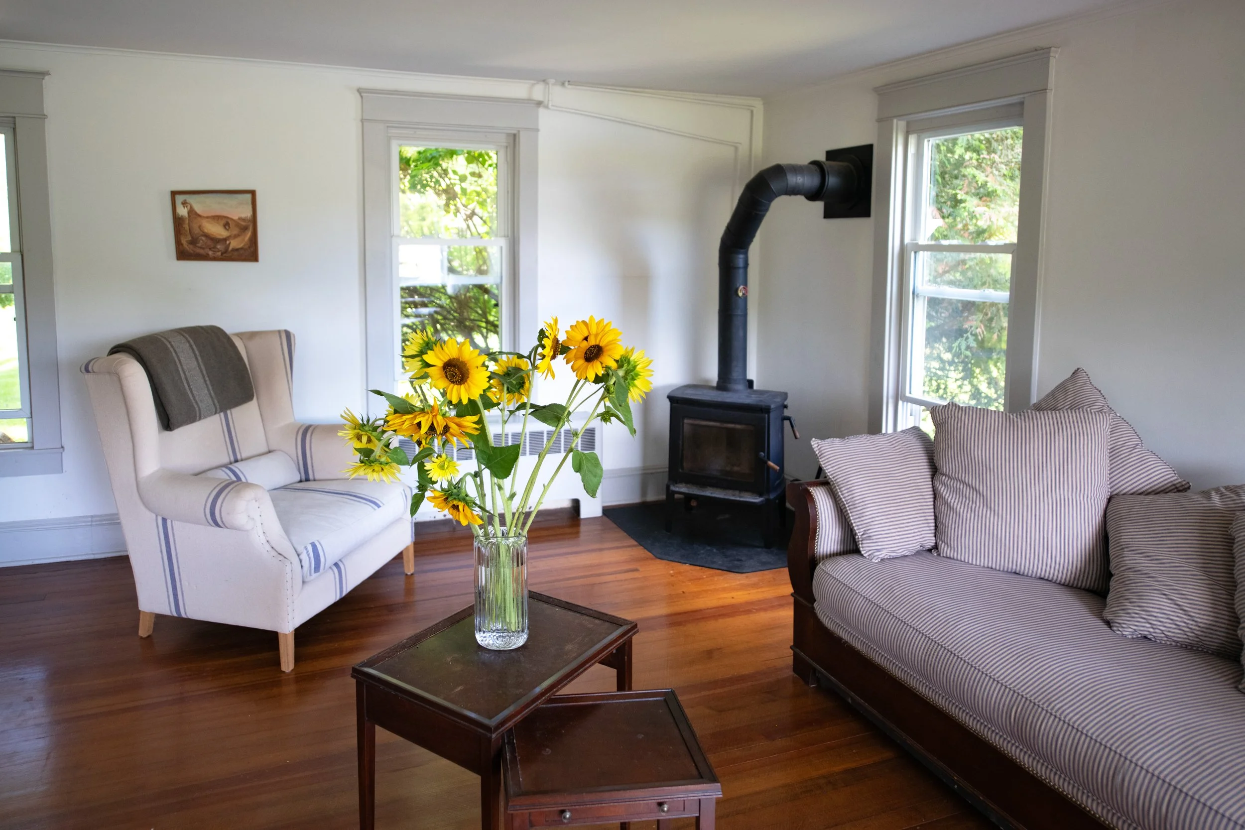 10 int wood stove.jpg