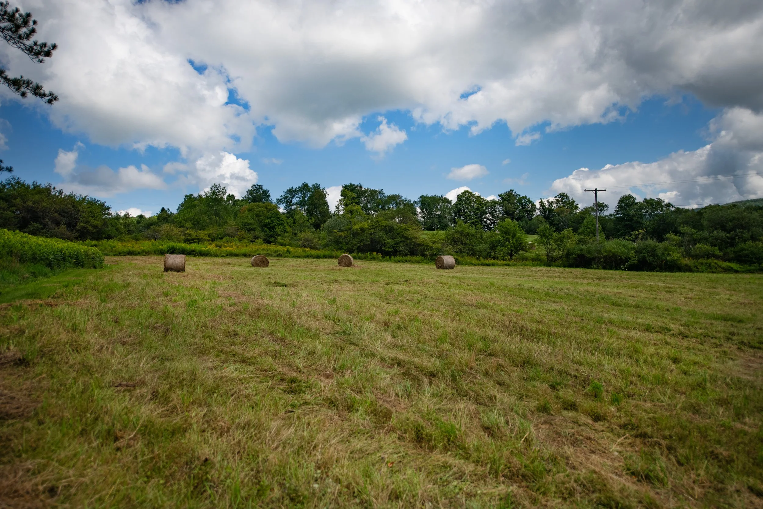 36 hay field.jpg