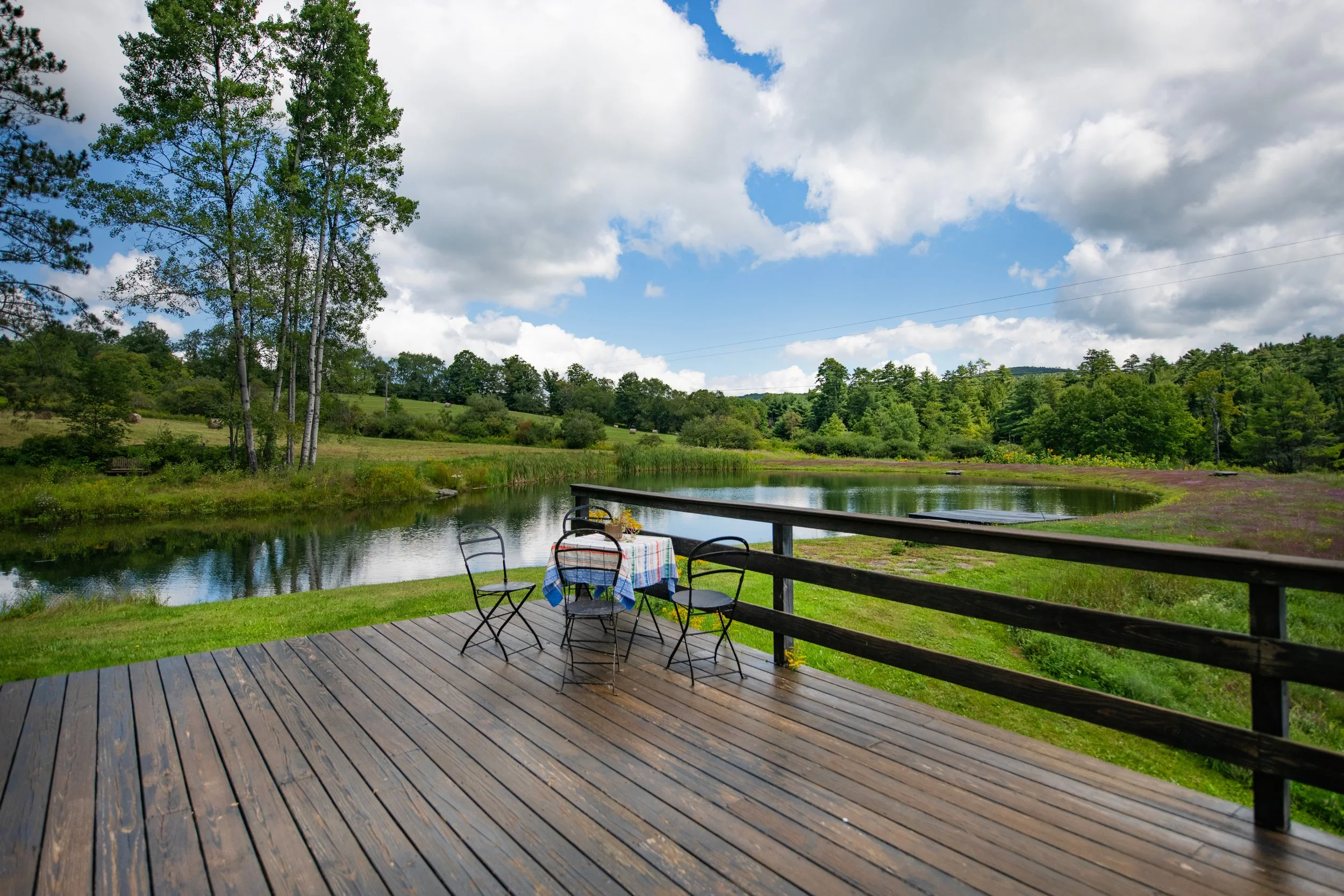 39 porch view of pond.jpg