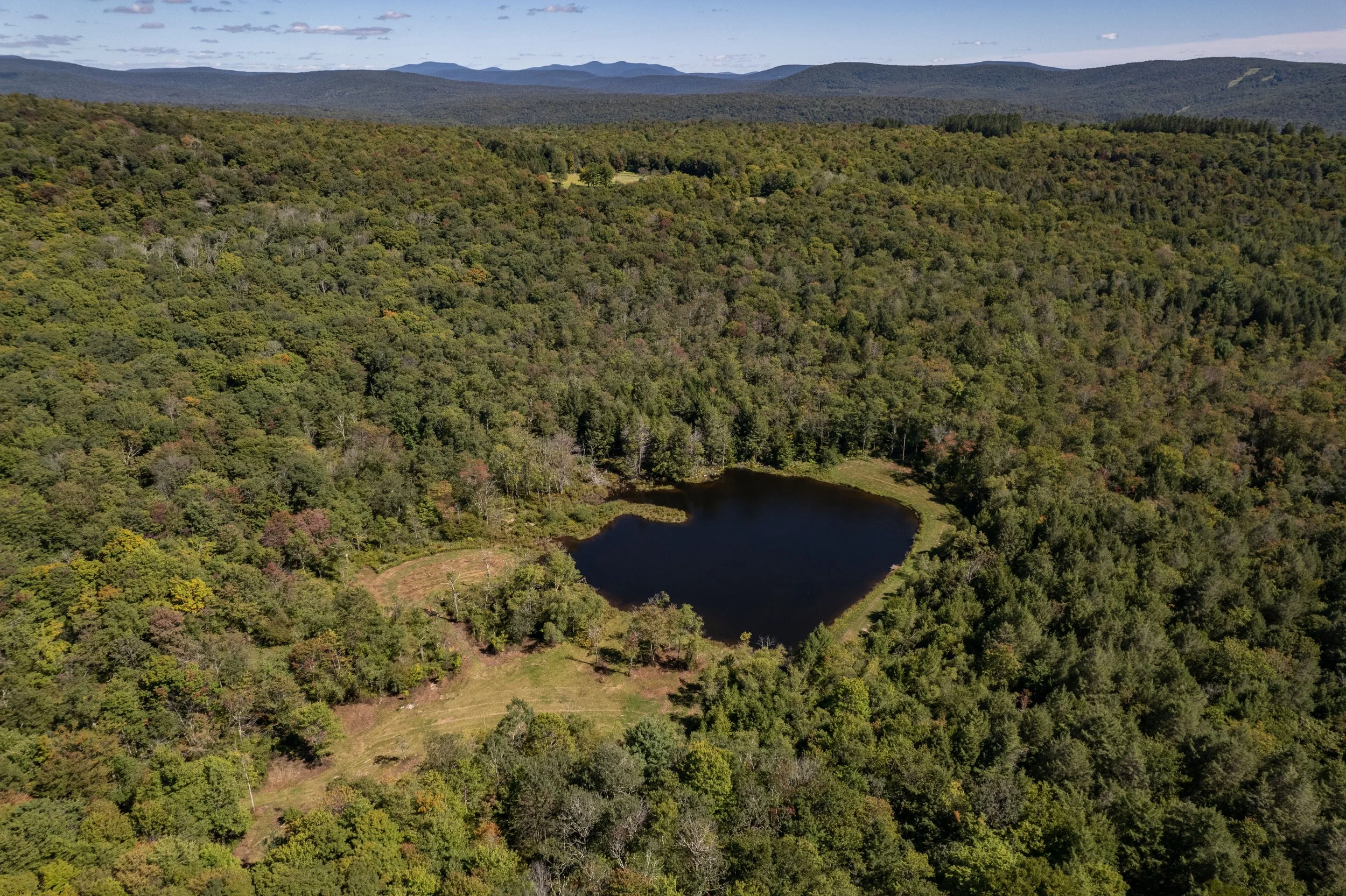 01 dji-pond-2.jpg