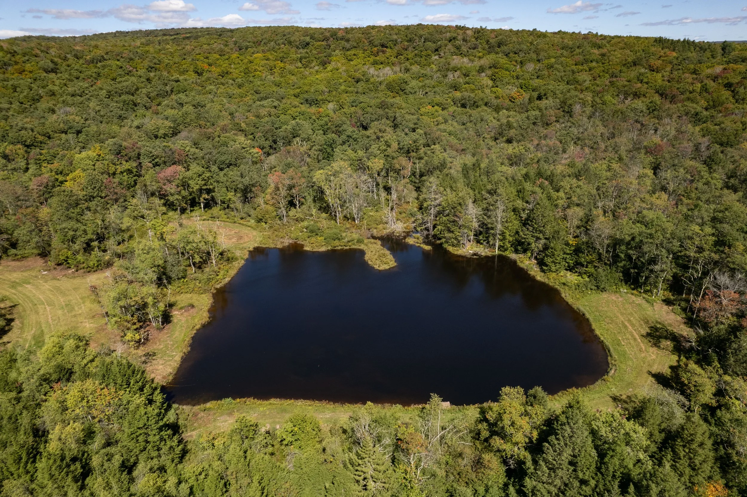 02 dji-pond-close.jpg