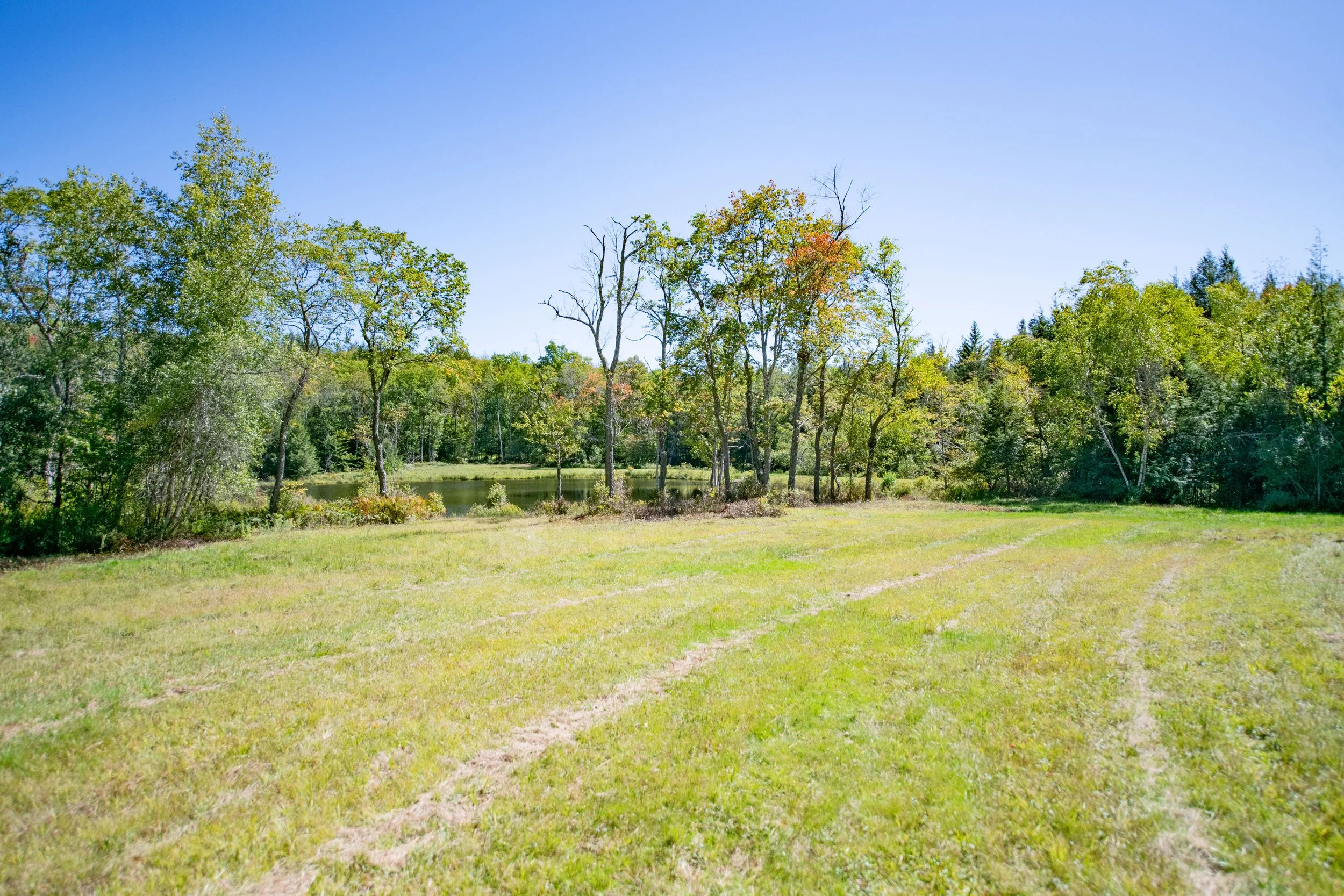 04 lawn-in-front-of-lake.jpg