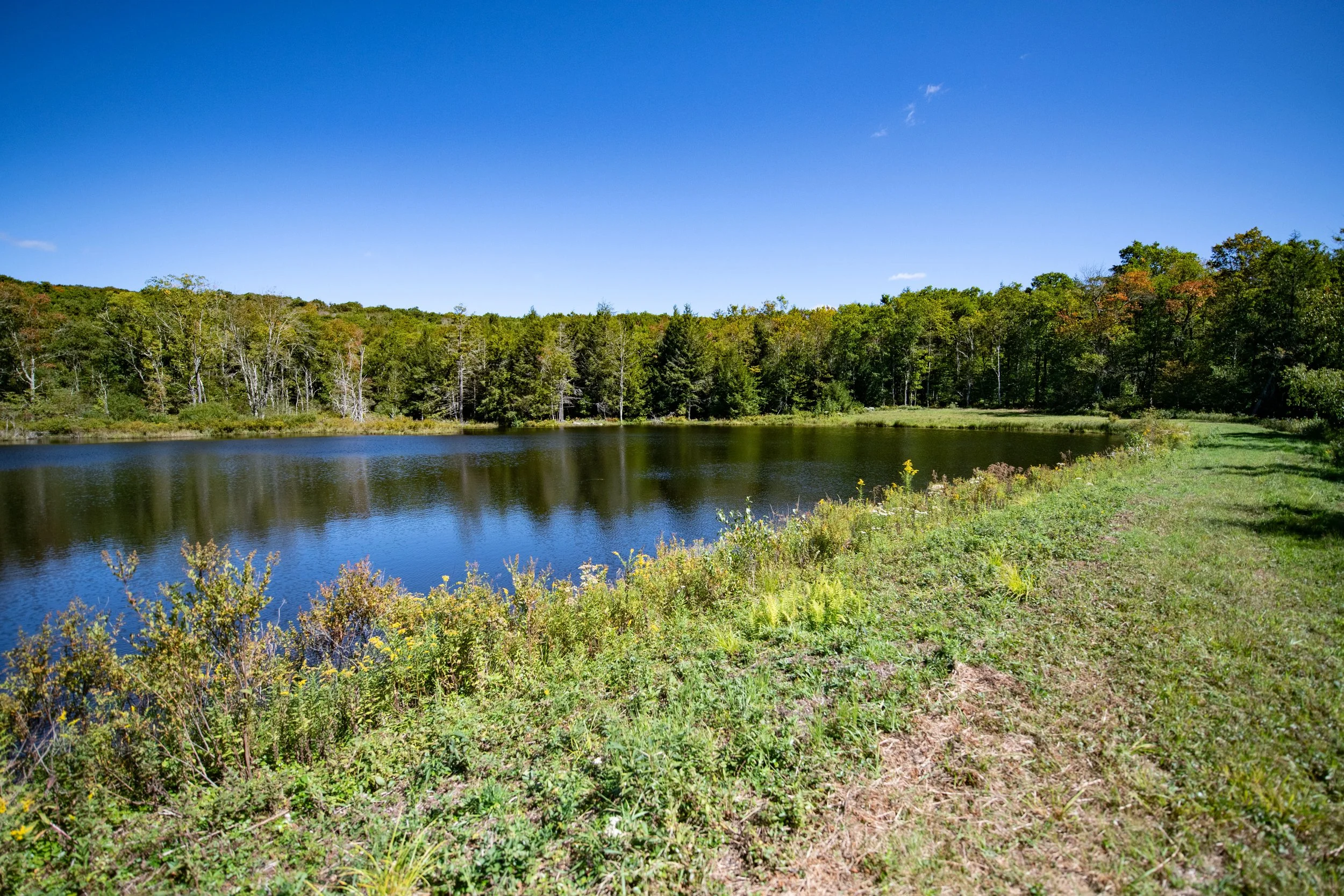 05 pond-dam.jpg