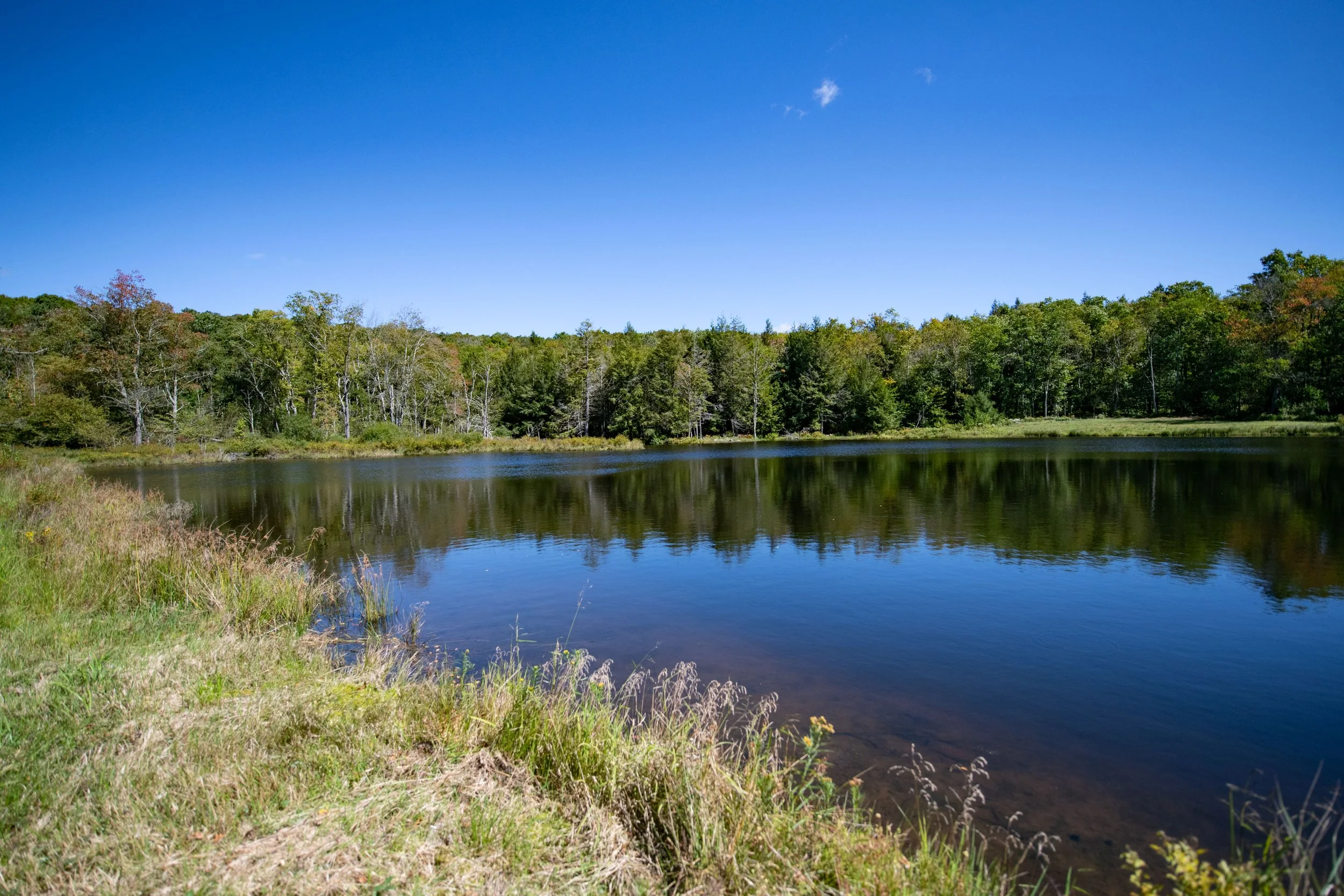 07 pond-left.jpg